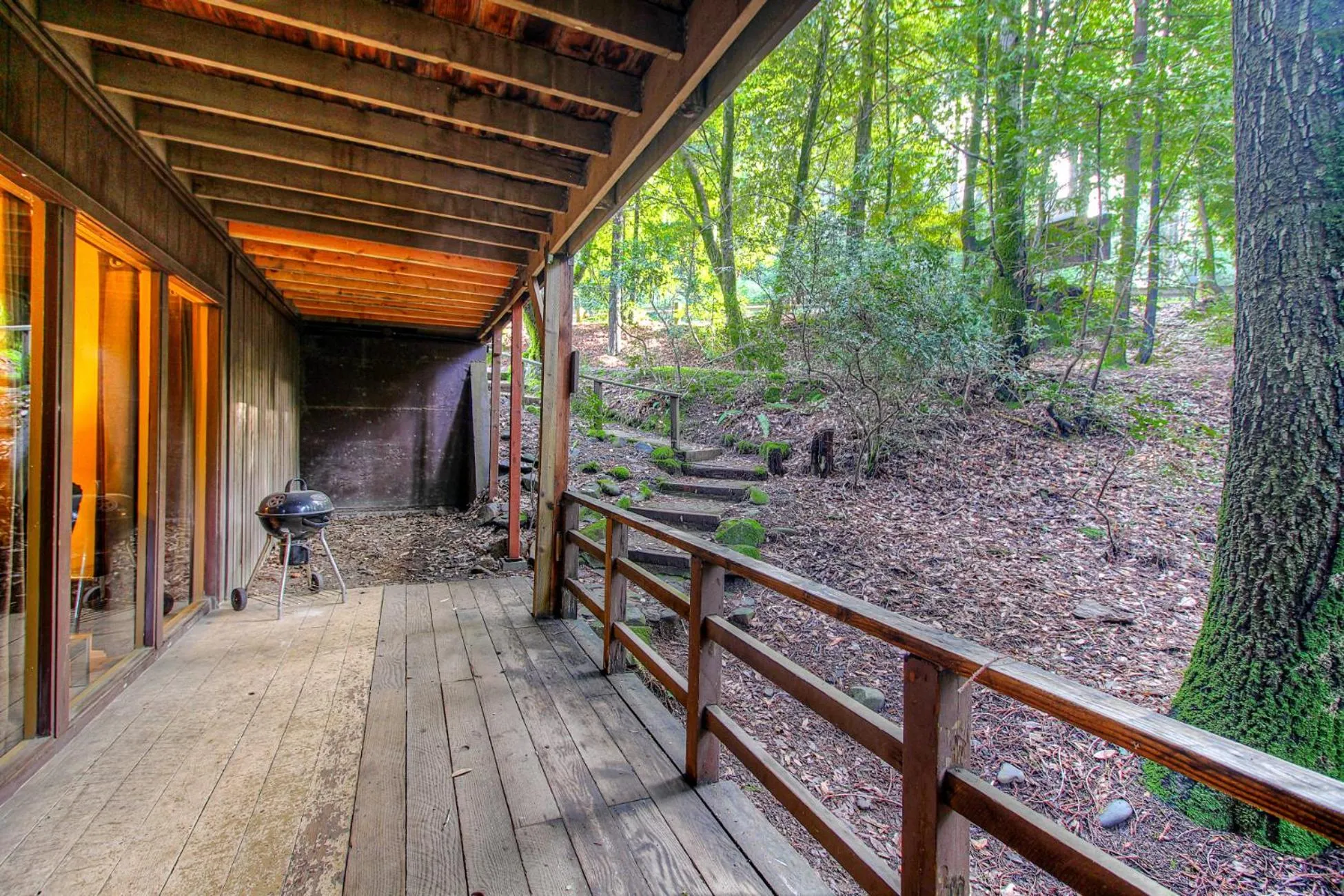 Day in Redwoods River Resort & Campground