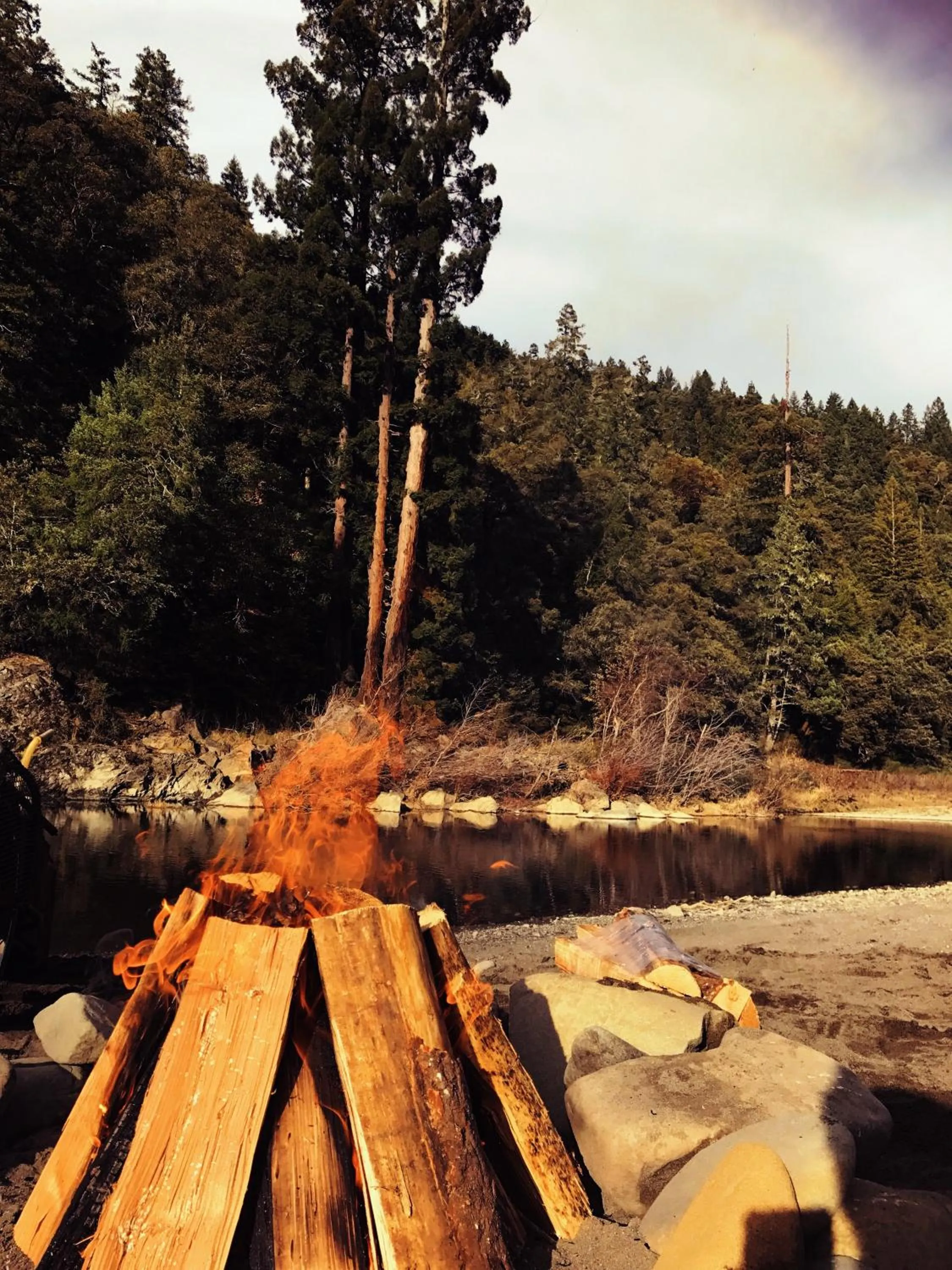 Natural landscape in Redwoods River Resort & Campground