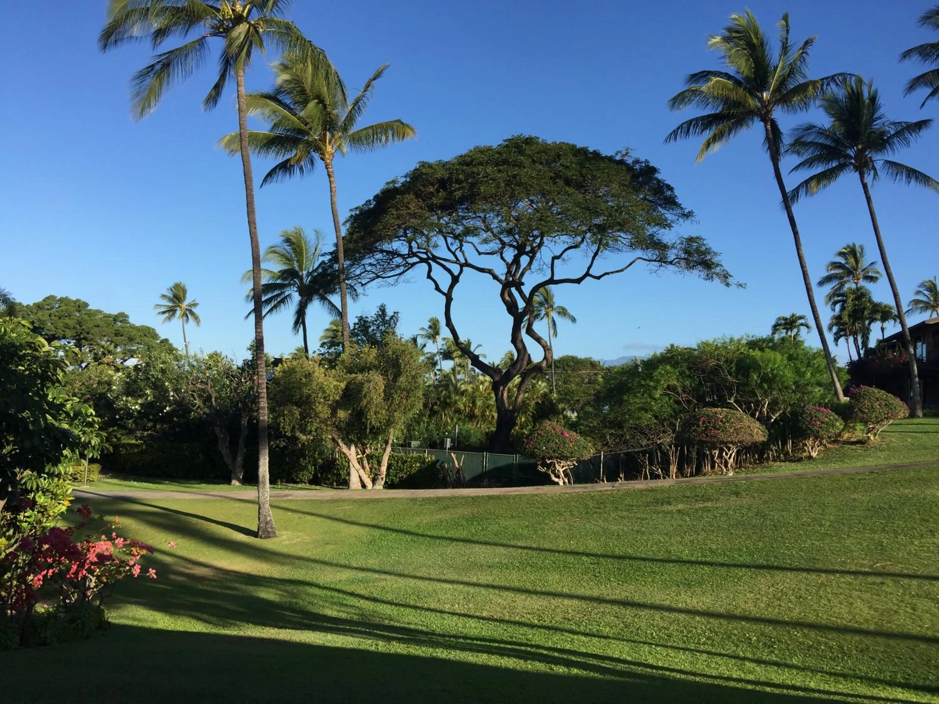 Garden view in 9B EKAHI VILLAGE-STUDIO BATH, GARDEN VIEW - 1 MINUTE STROLL to BEACH!