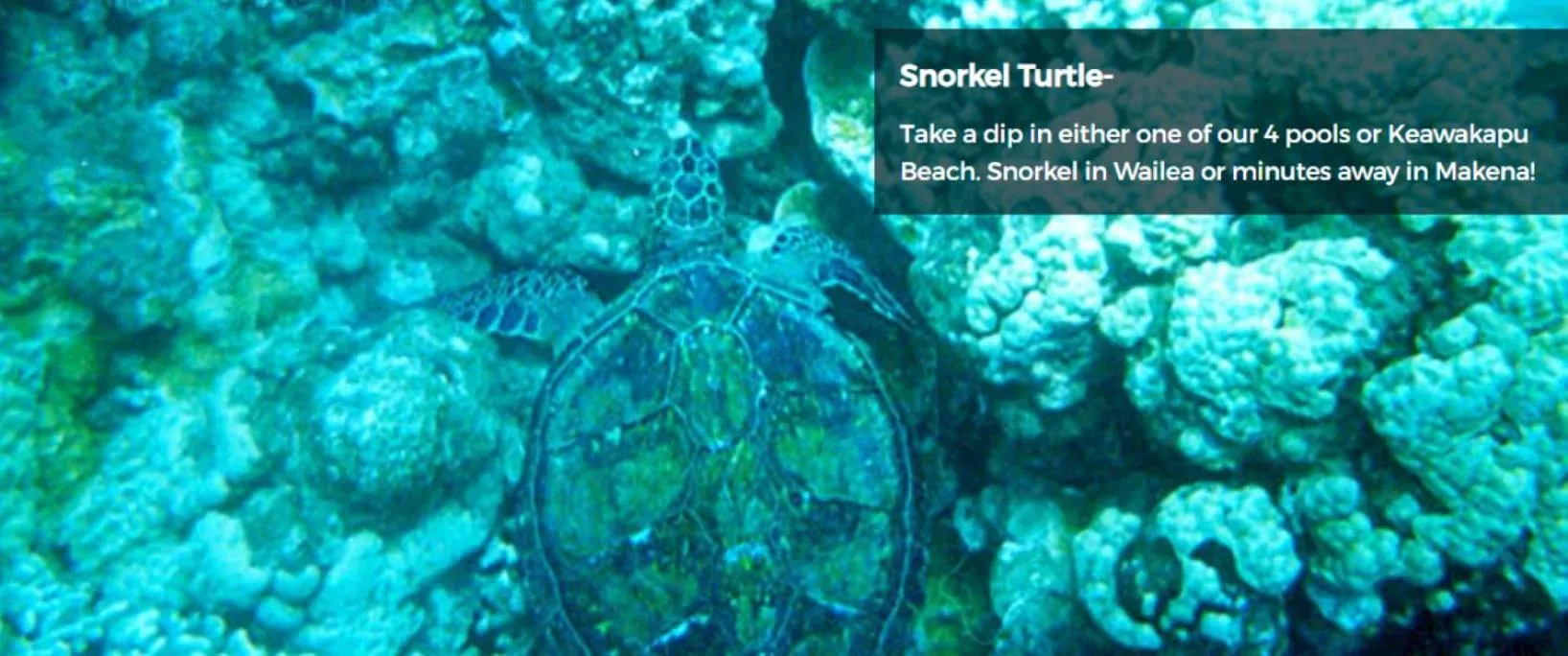 Beach in 9B EKAHI VILLAGE-STUDIO BATH, GARDEN VIEW - 1 MINUTE STROLL to BEACH!