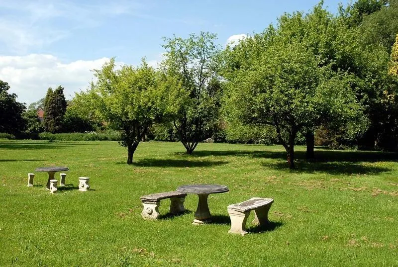 Garden in Hopbine House