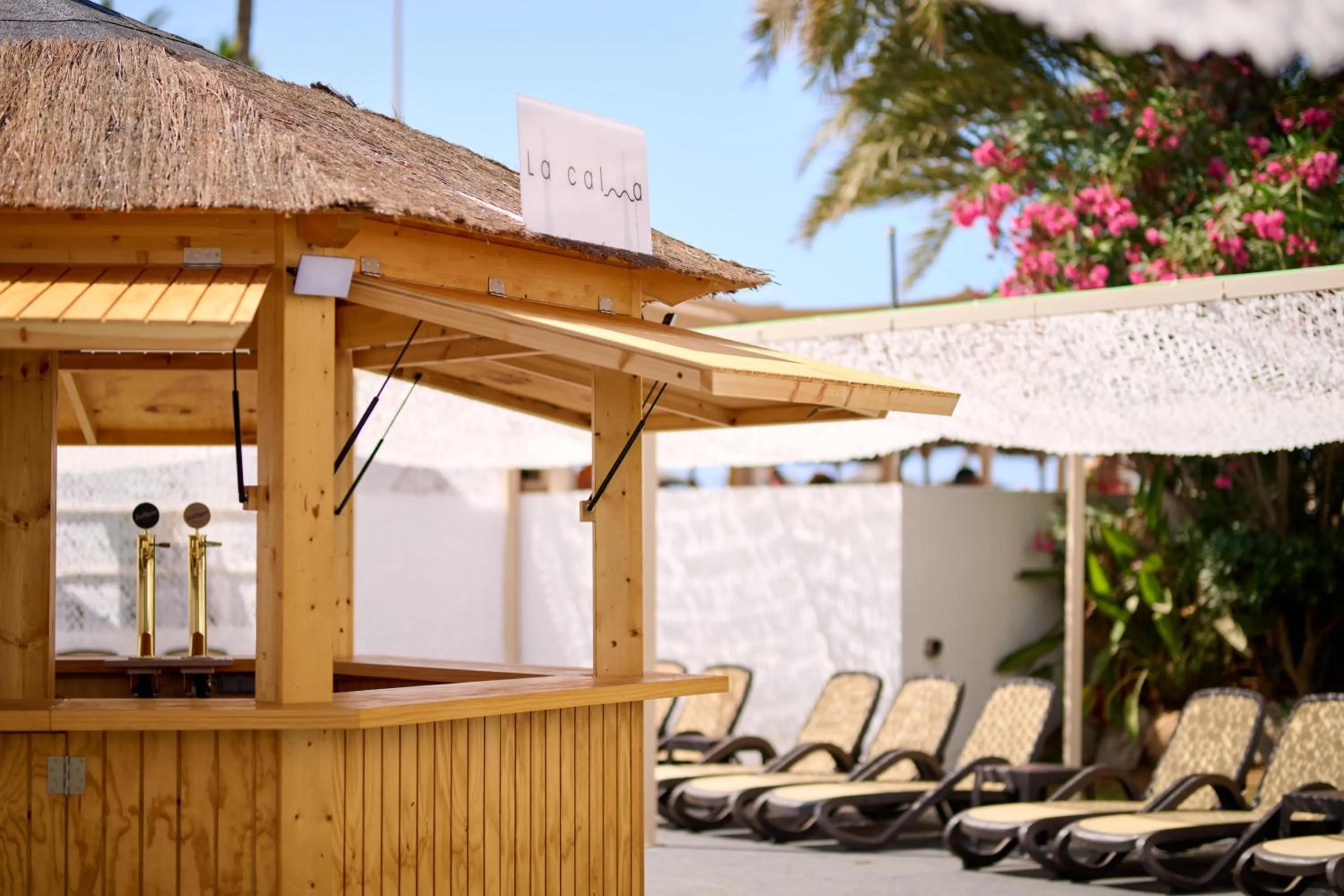 Lounge or bar in Alua Golf Trinidad