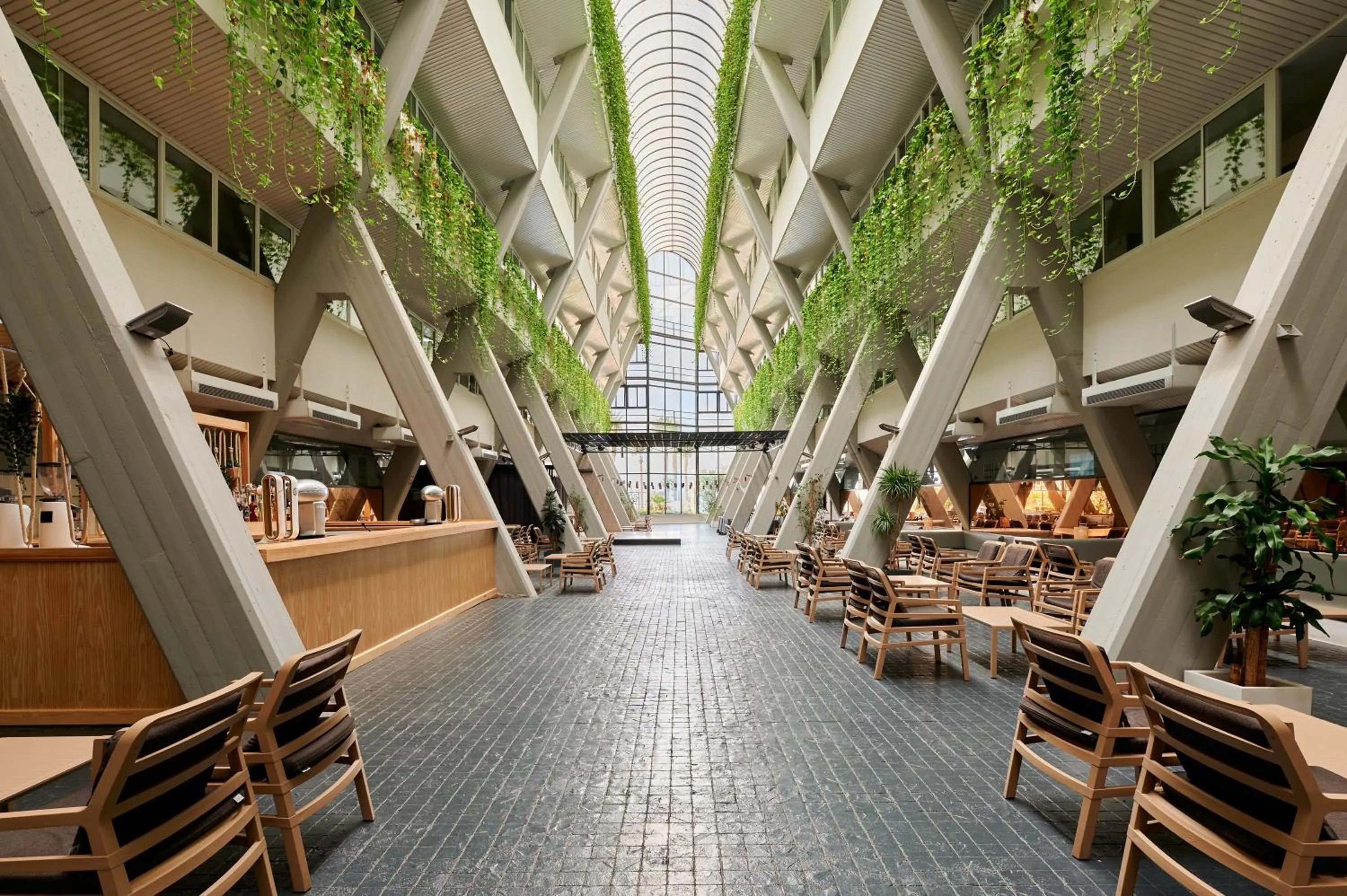 Restaurant/places to eat in Alua Golf Trinidad