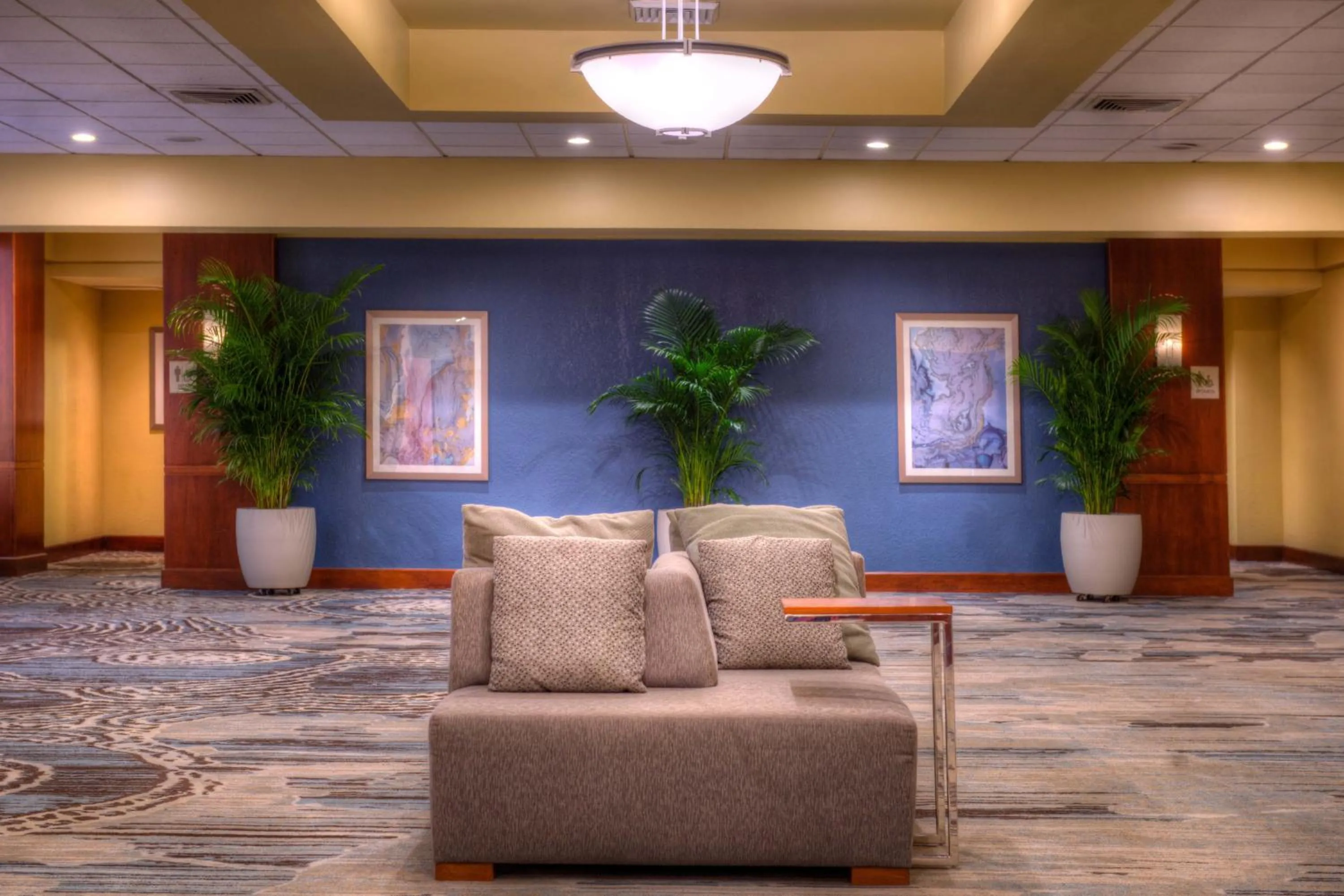 Banquet/Function facilities, Lobby/Reception in DoubleTree by Hilton Hotel Tampa Airport-Westshore