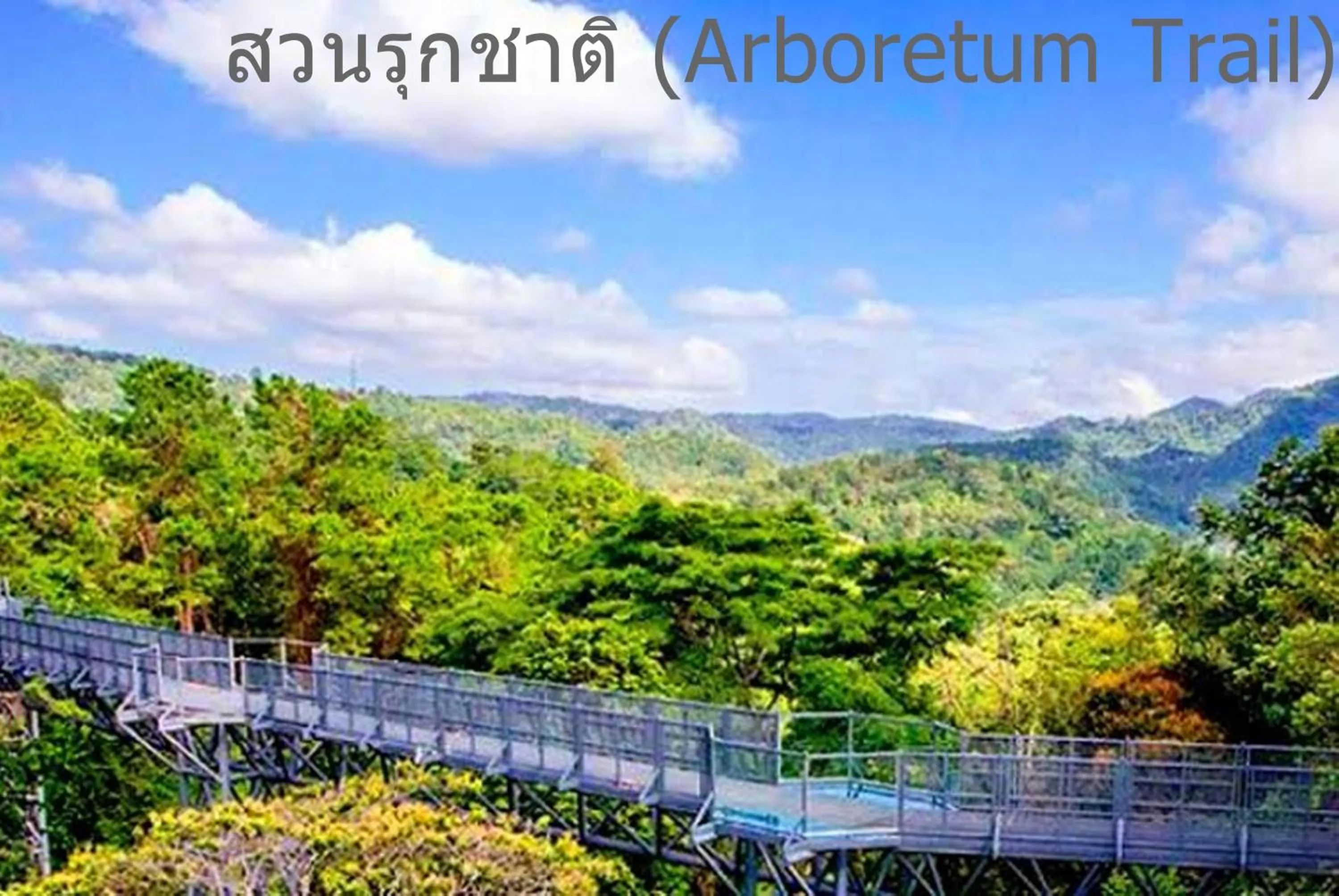 Natural landscape in The Greenery central suite & hotel