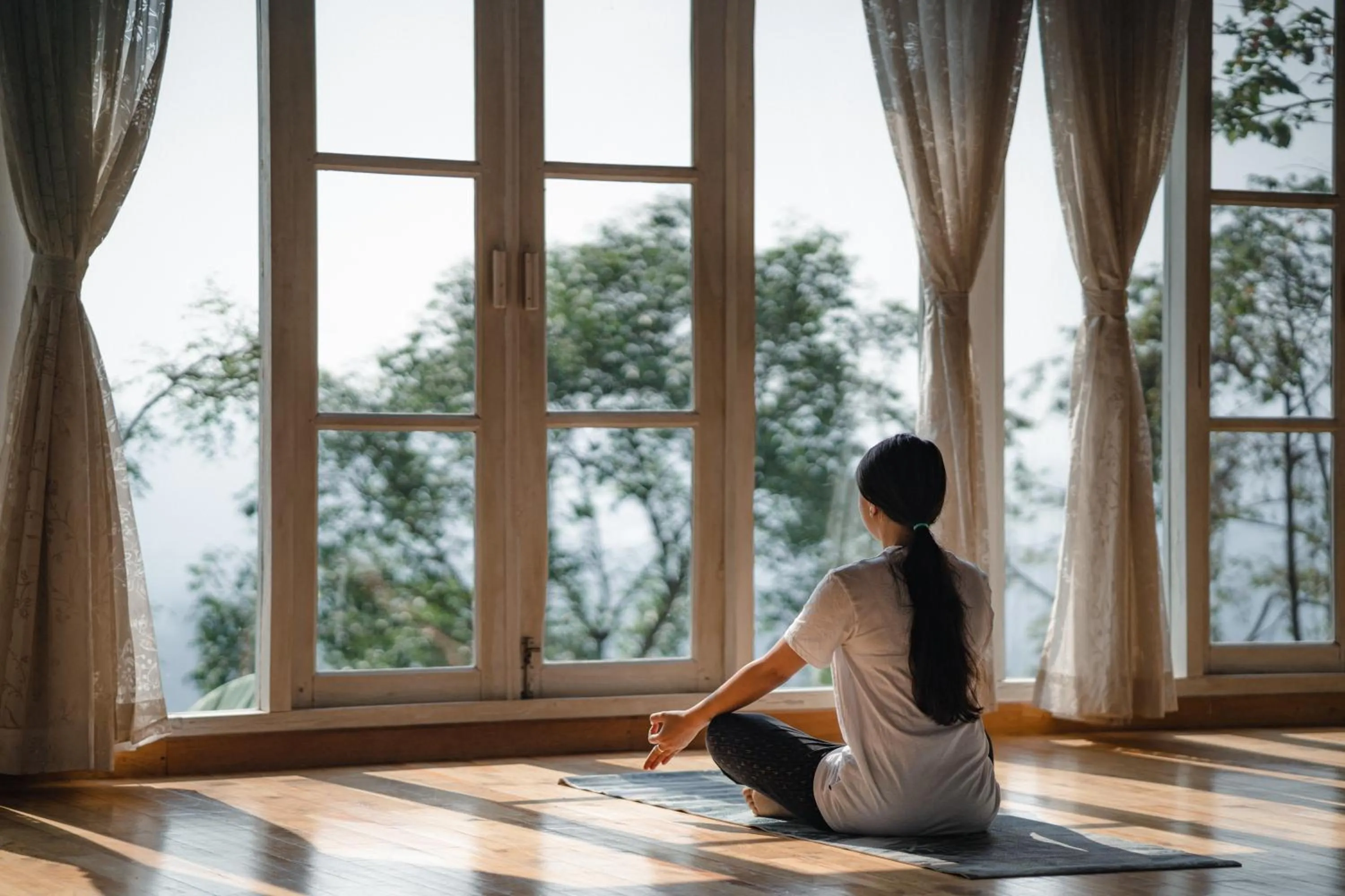 SpiceTree Rajakumari