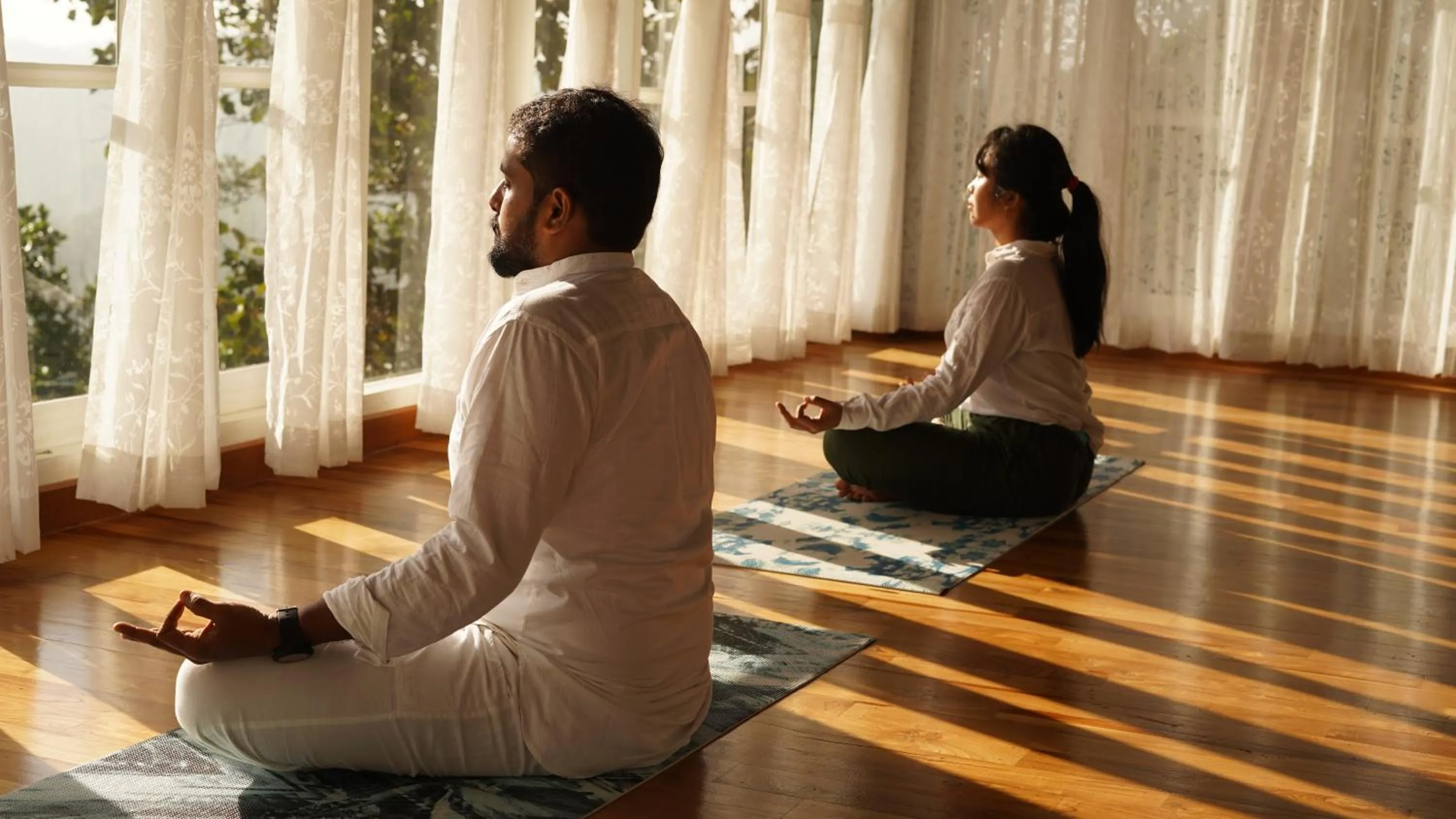 SpiceTree Rajakumari