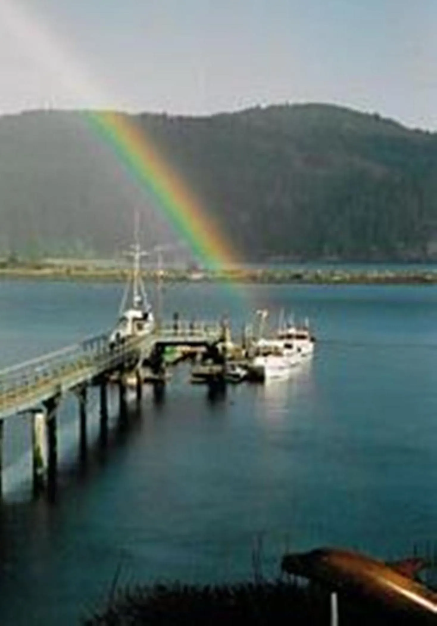 Area and facilities in Salty Towers Ocean Front Cottages