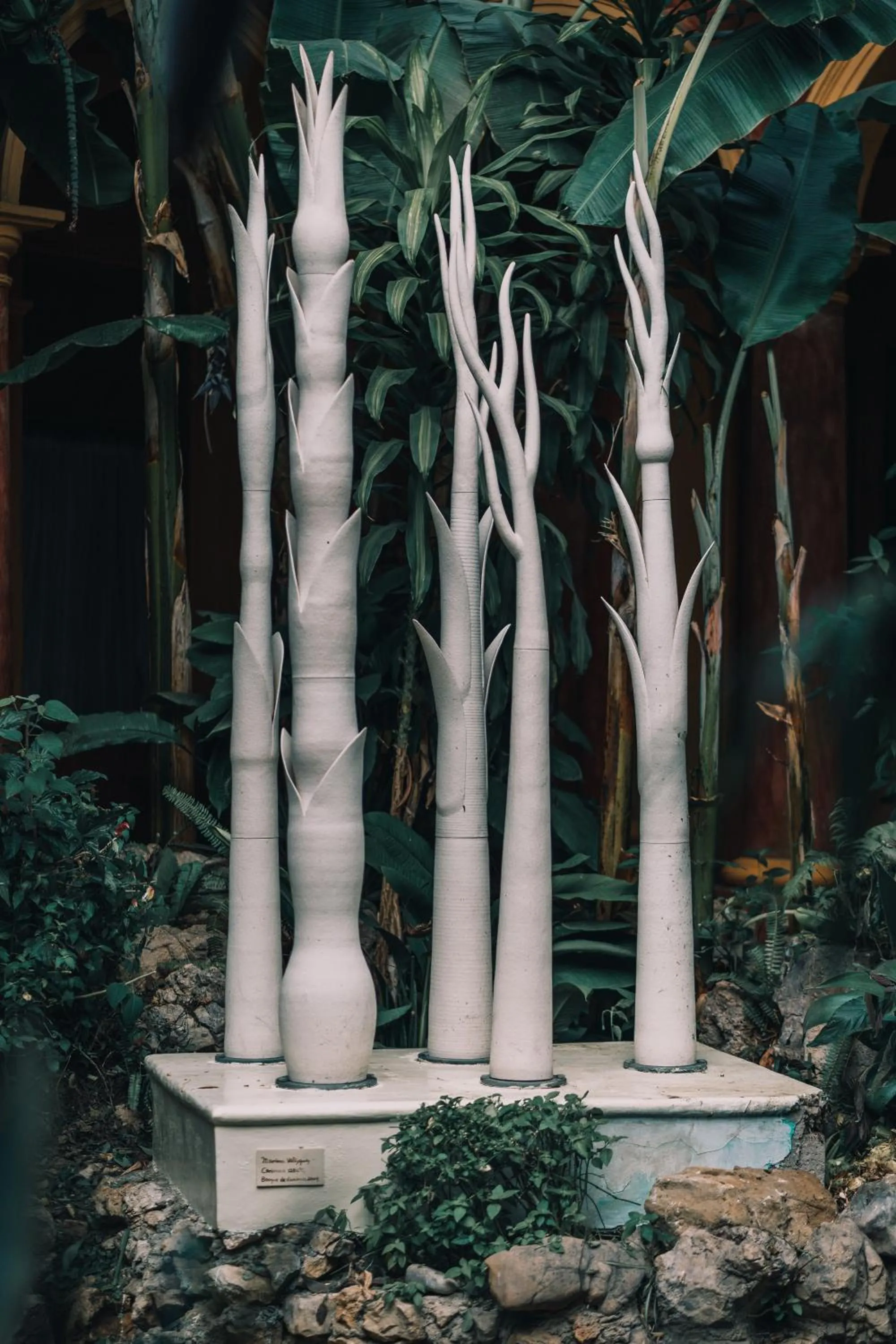 Natural landscape in Hotel Casa Mexicana