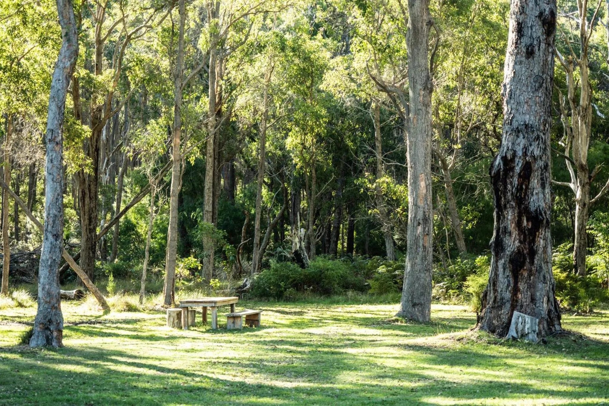 Natural landscape in Simala Retreat