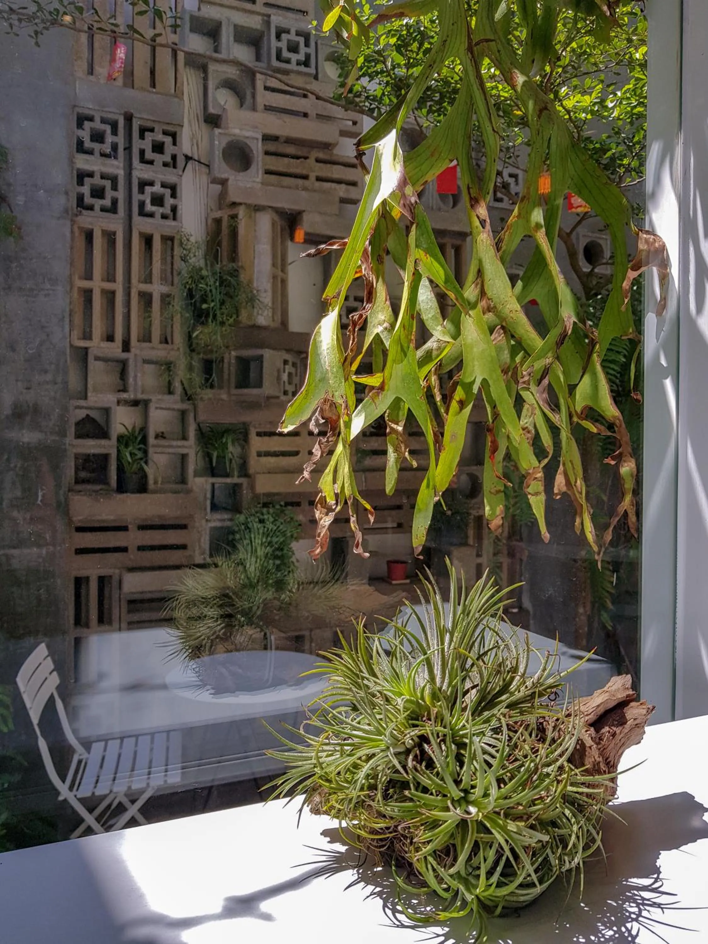 Garden view in Montagne Regency