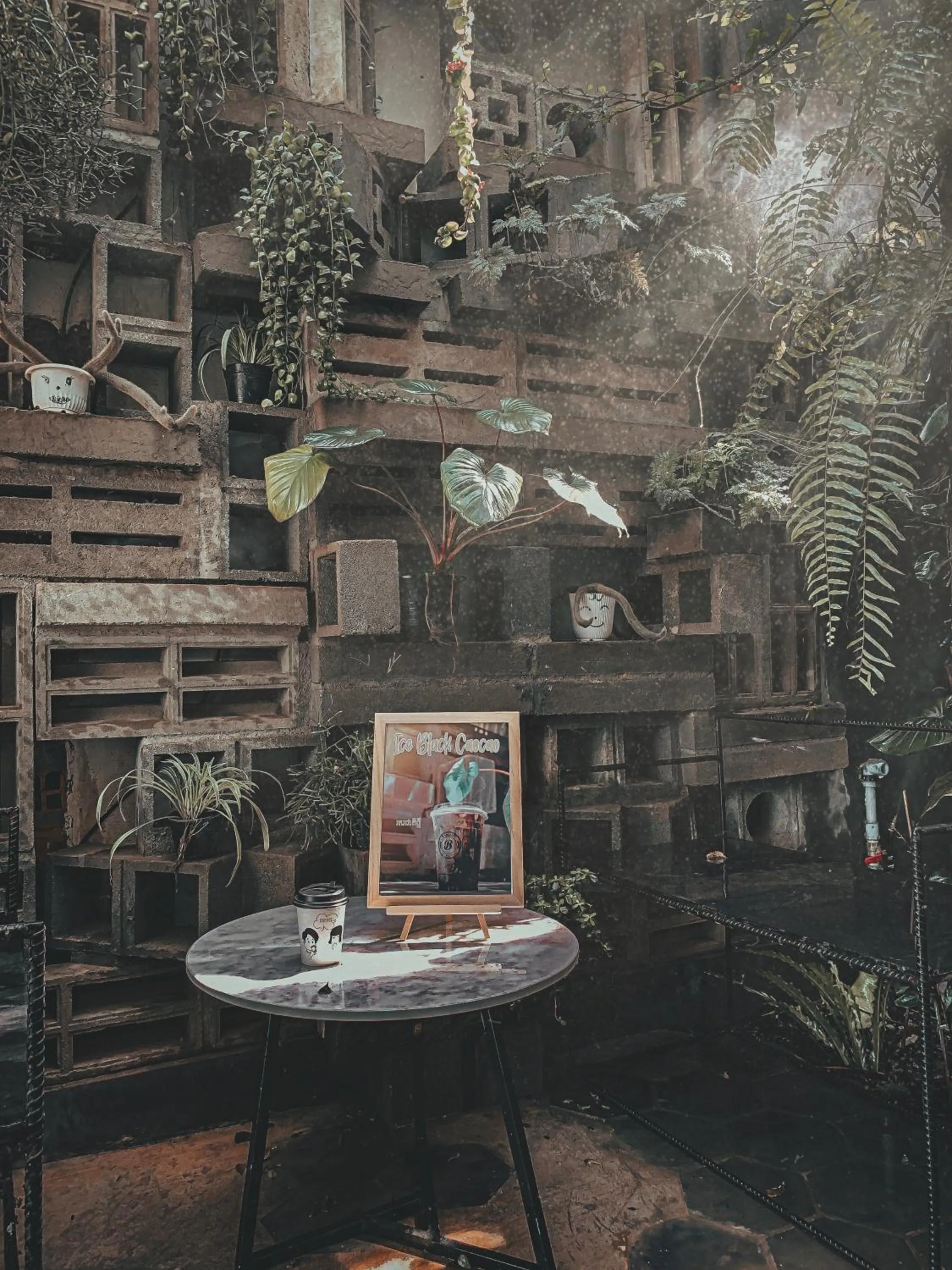 Nightclub / DJ in Montagne Regency