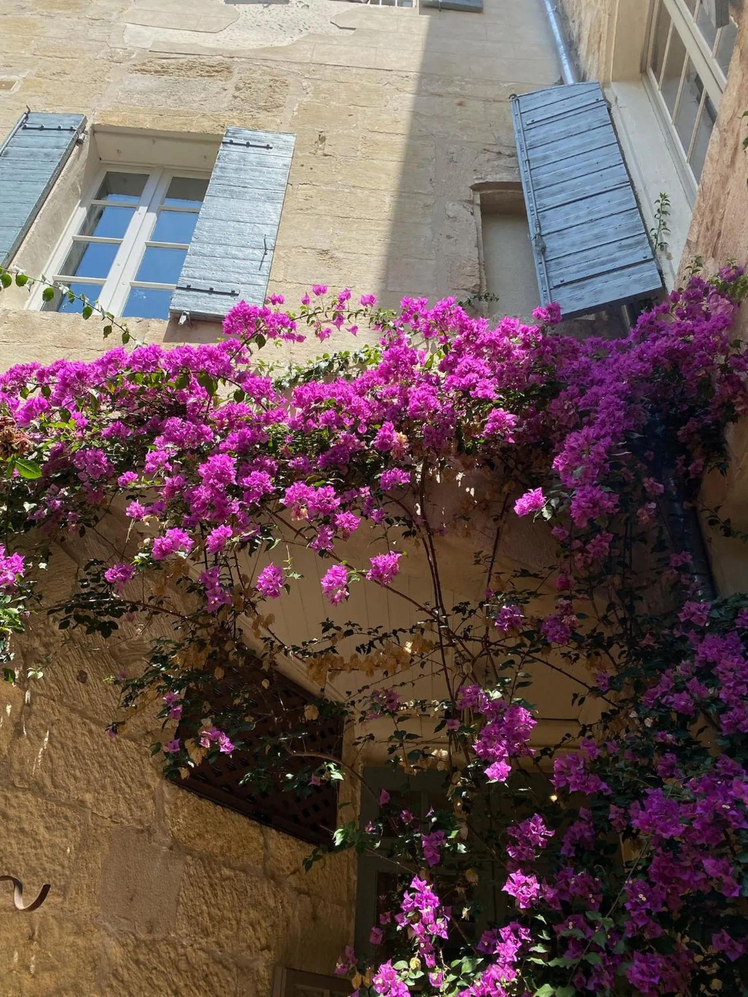 Hôtel du Musée