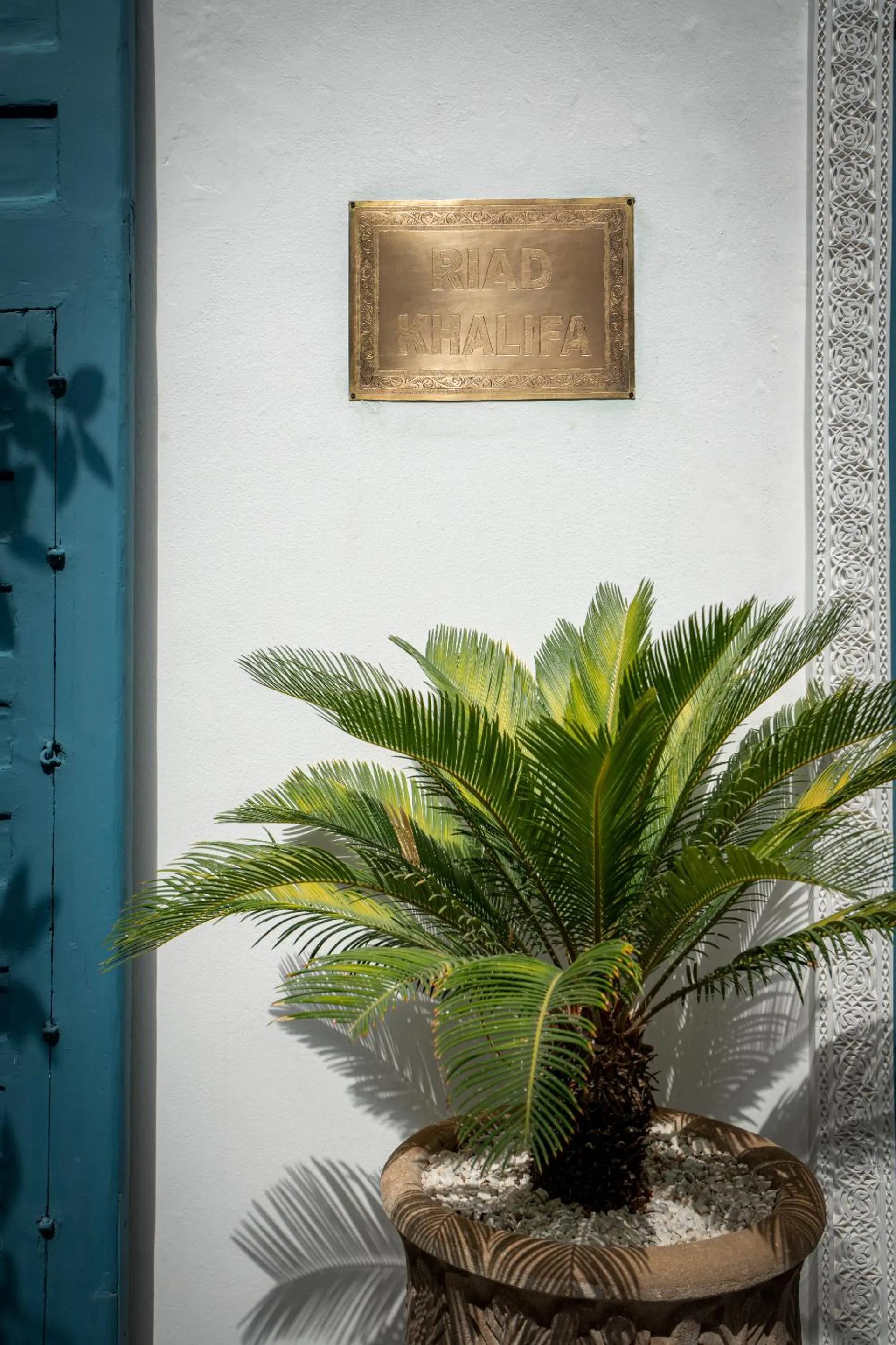 Other in Riad Khalifa