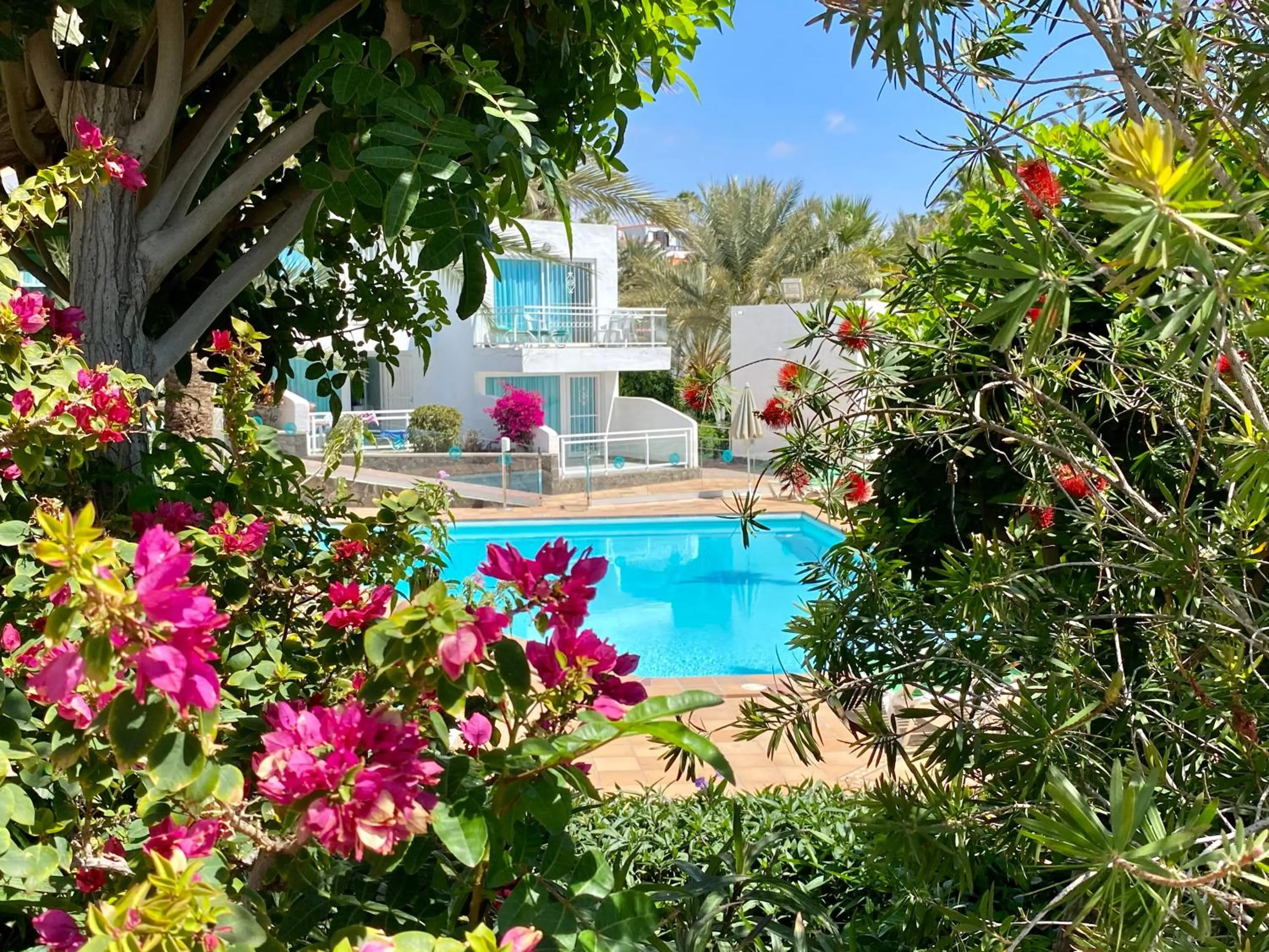 Garden in Acapulco Ocean View