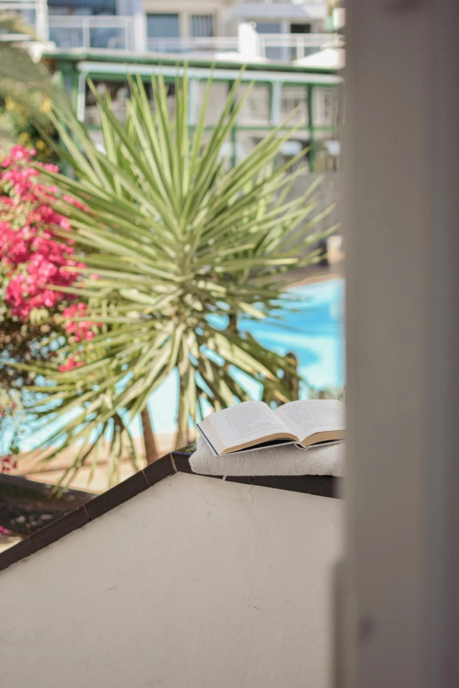 Garden in Acapulco Ocean View