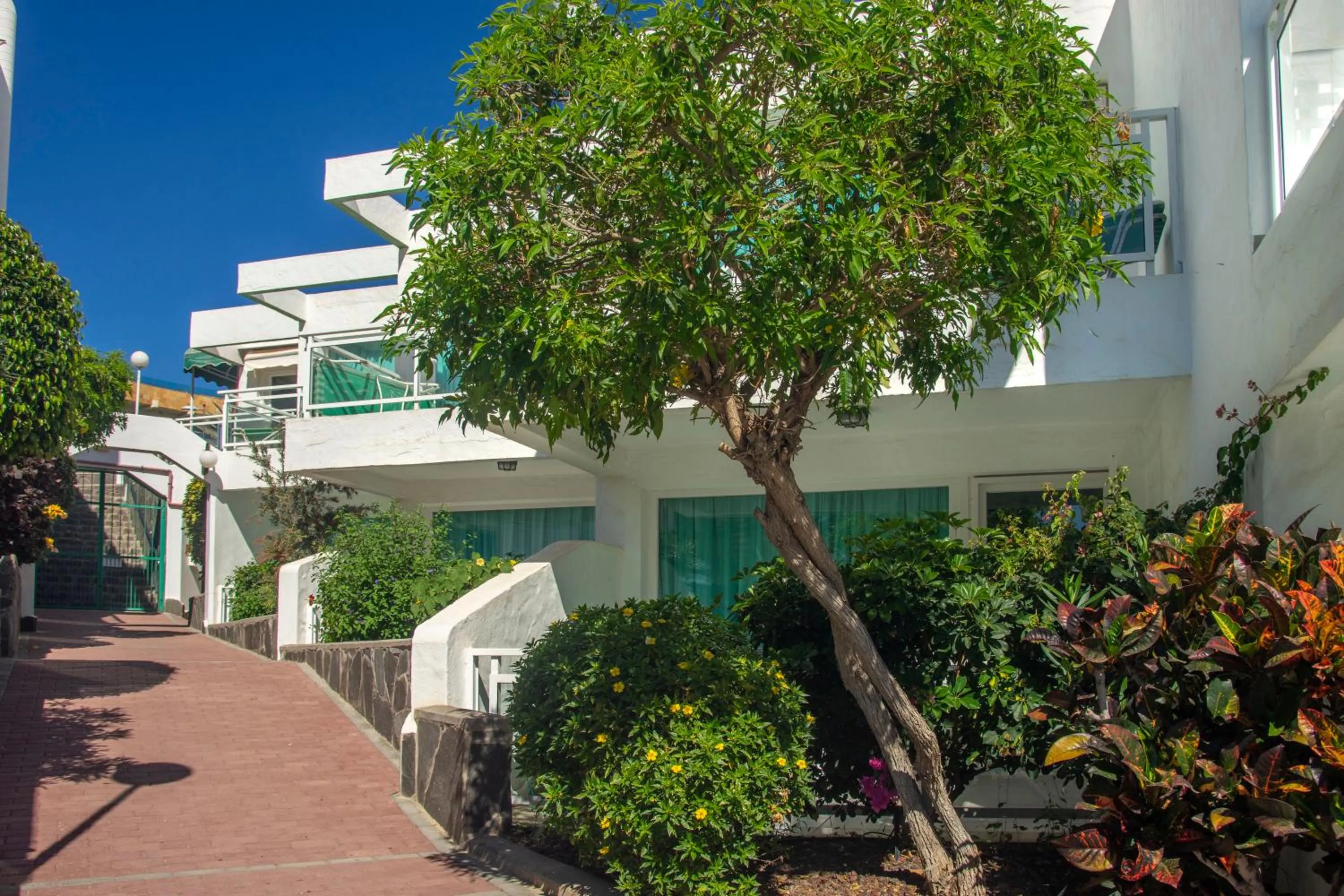 Garden in Acapulco Ocean View