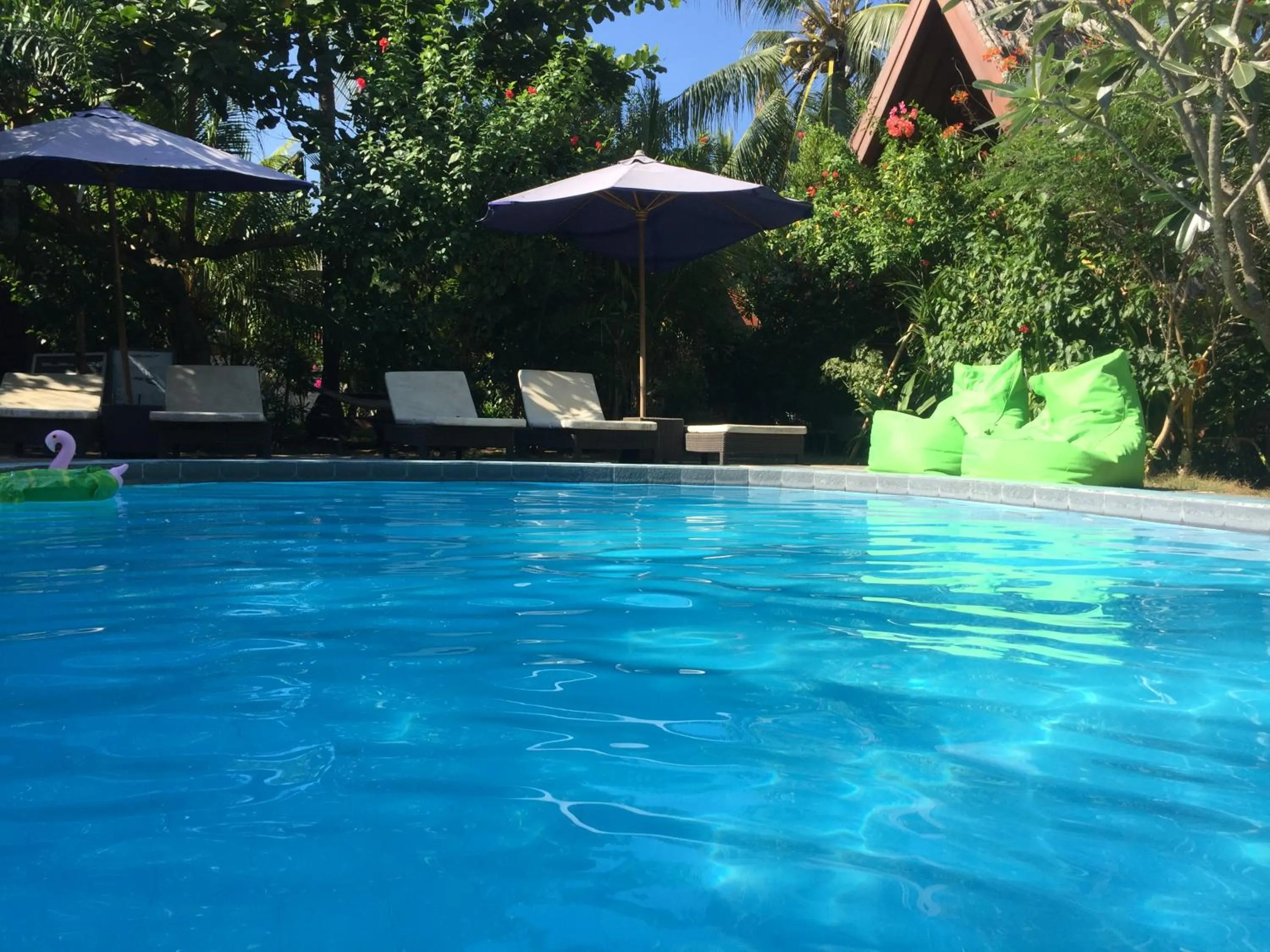 Garden in Lucy's Garden Hotel