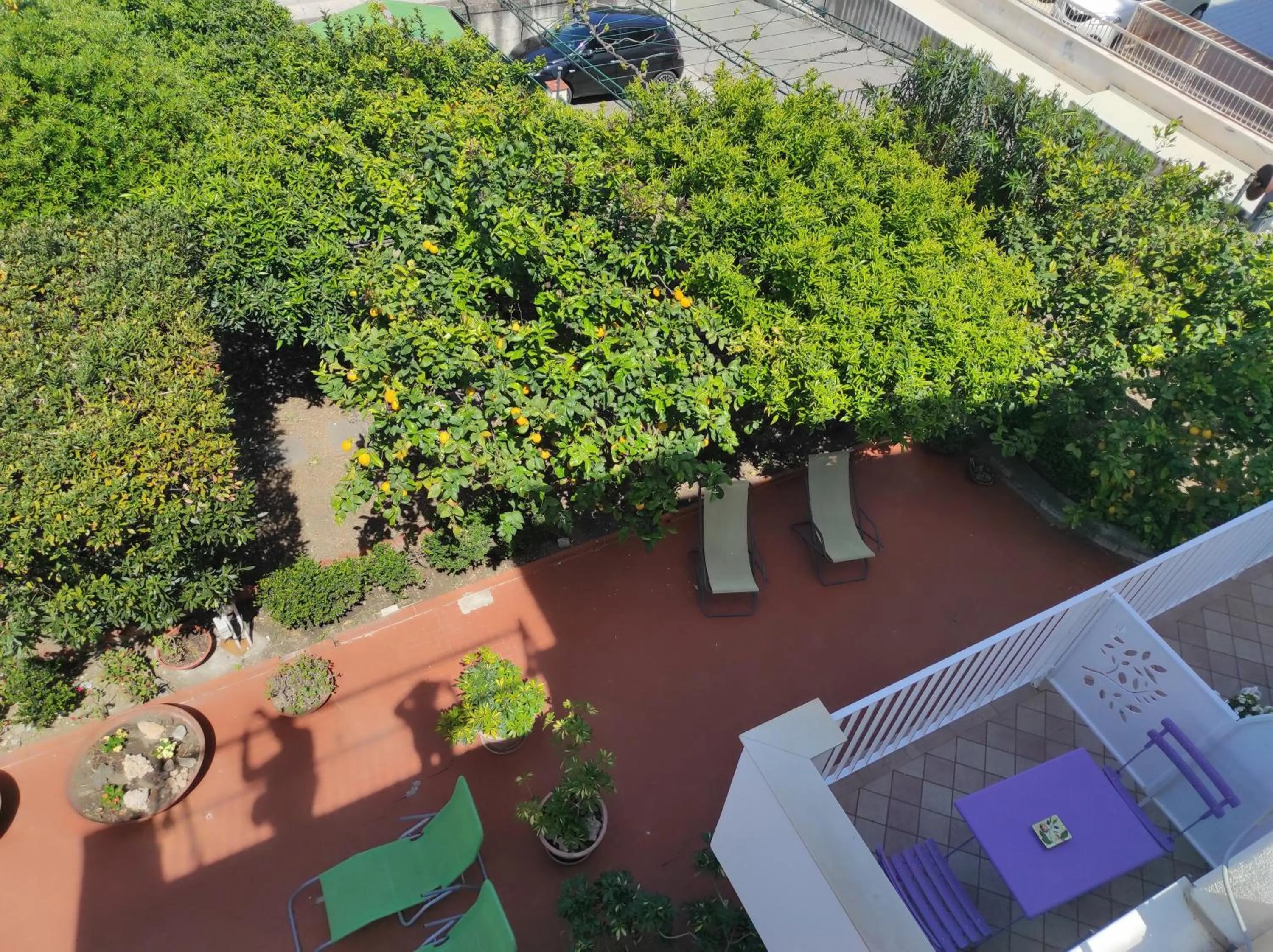 Garden view in Lumachella B&B