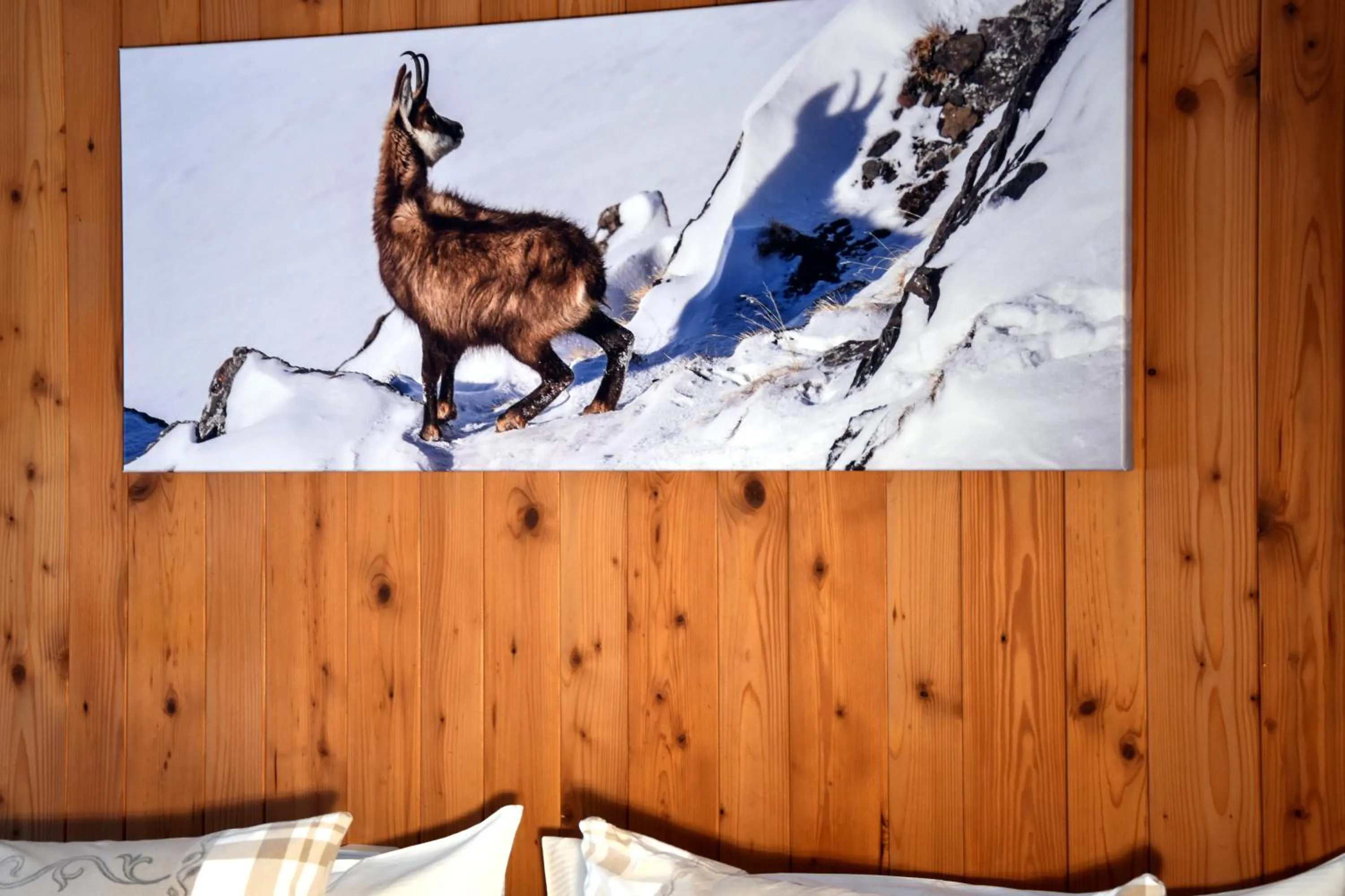 Decorative detail in Hotel Cabana