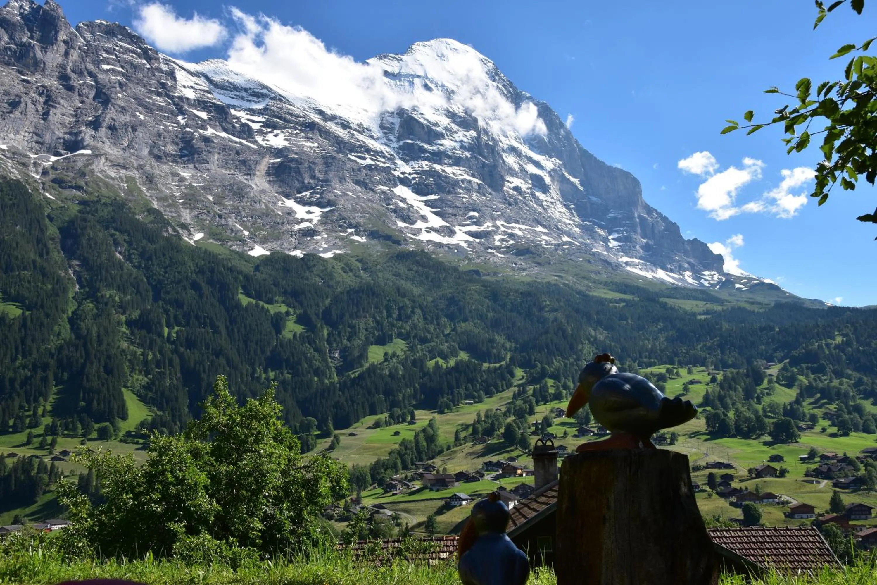 Garden in Hotel Cabana