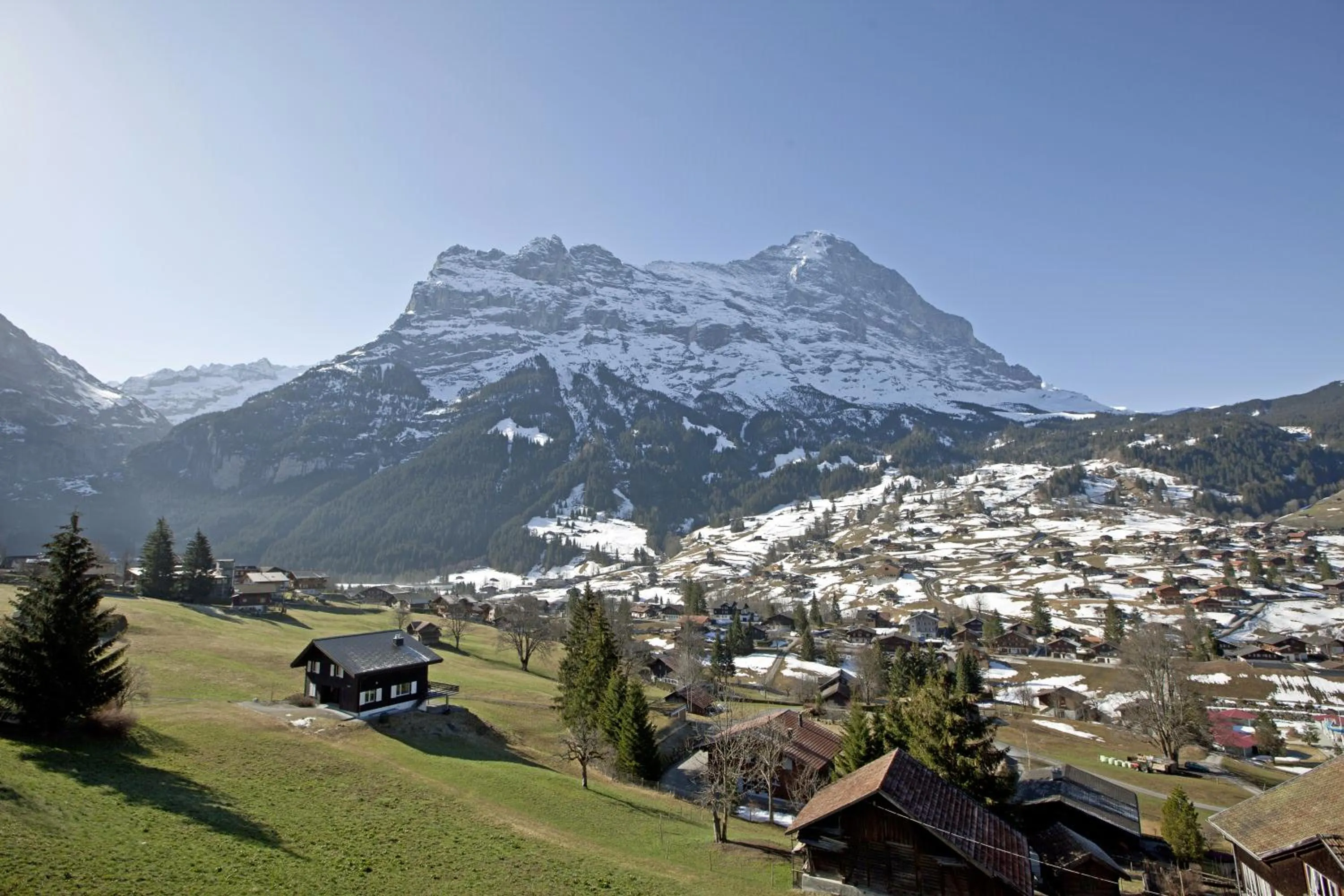 Garden in Hotel Cabana
