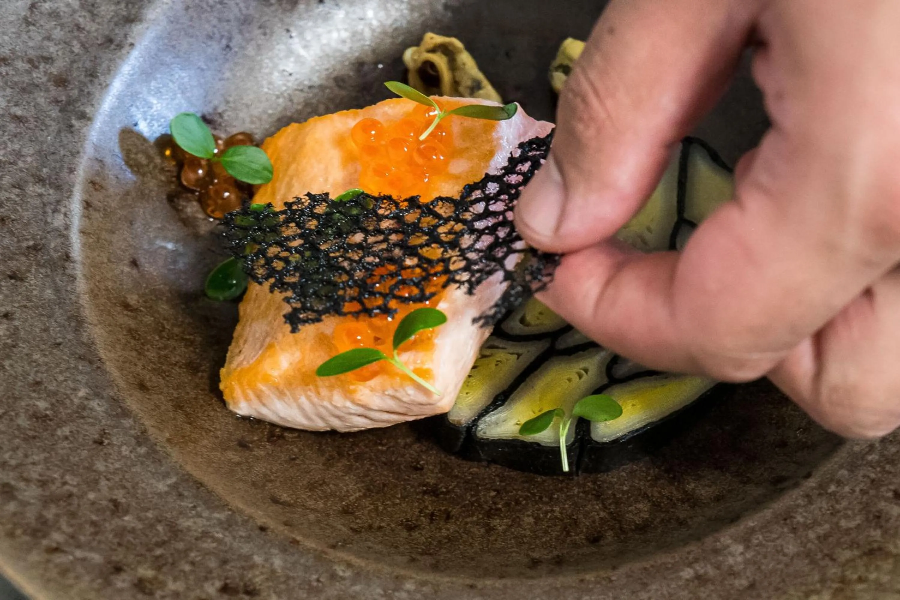Restaurant/places to eat in Hôtel Saint-Alban