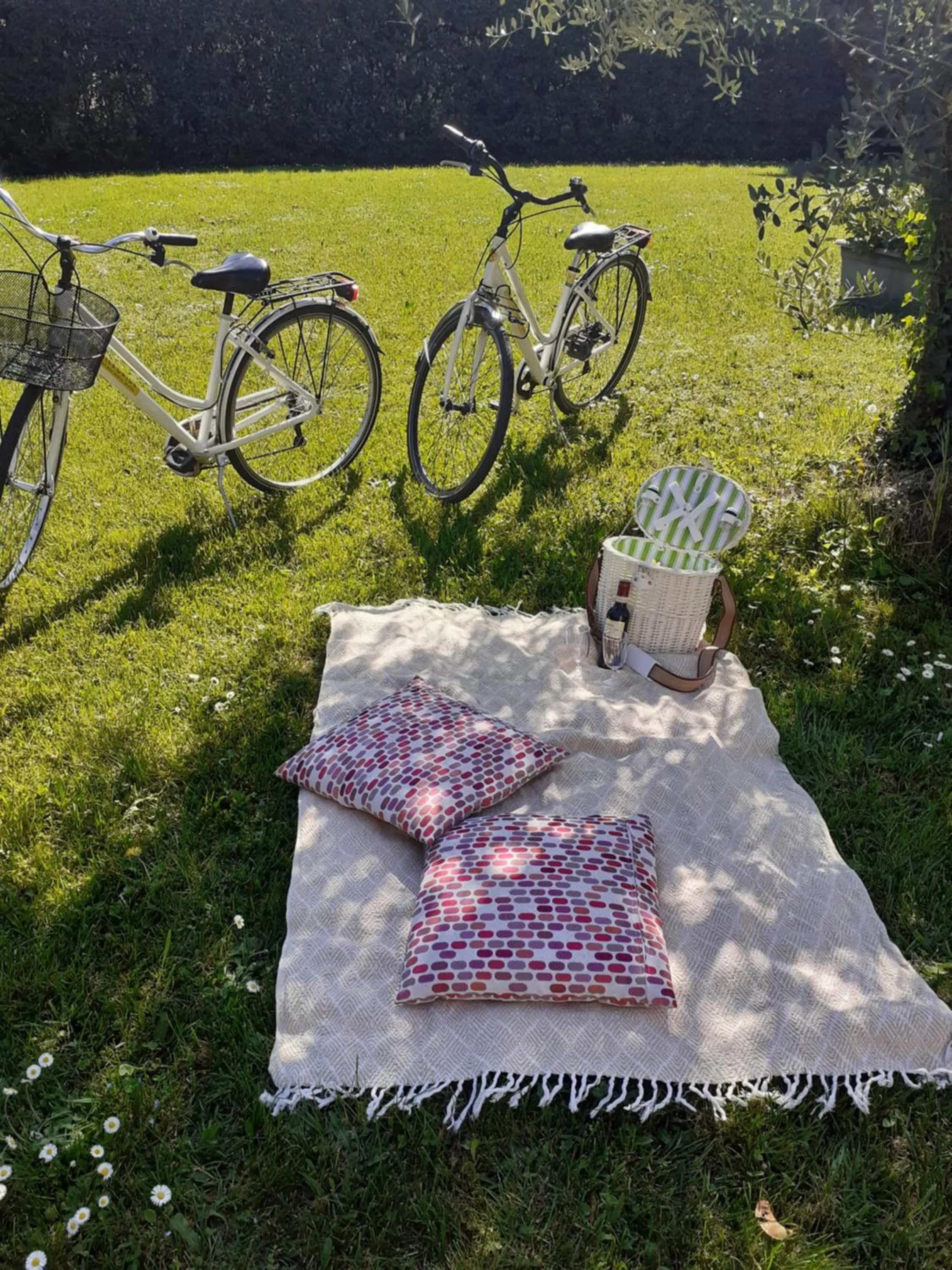 Area and facilities in Villa Ricci Suites