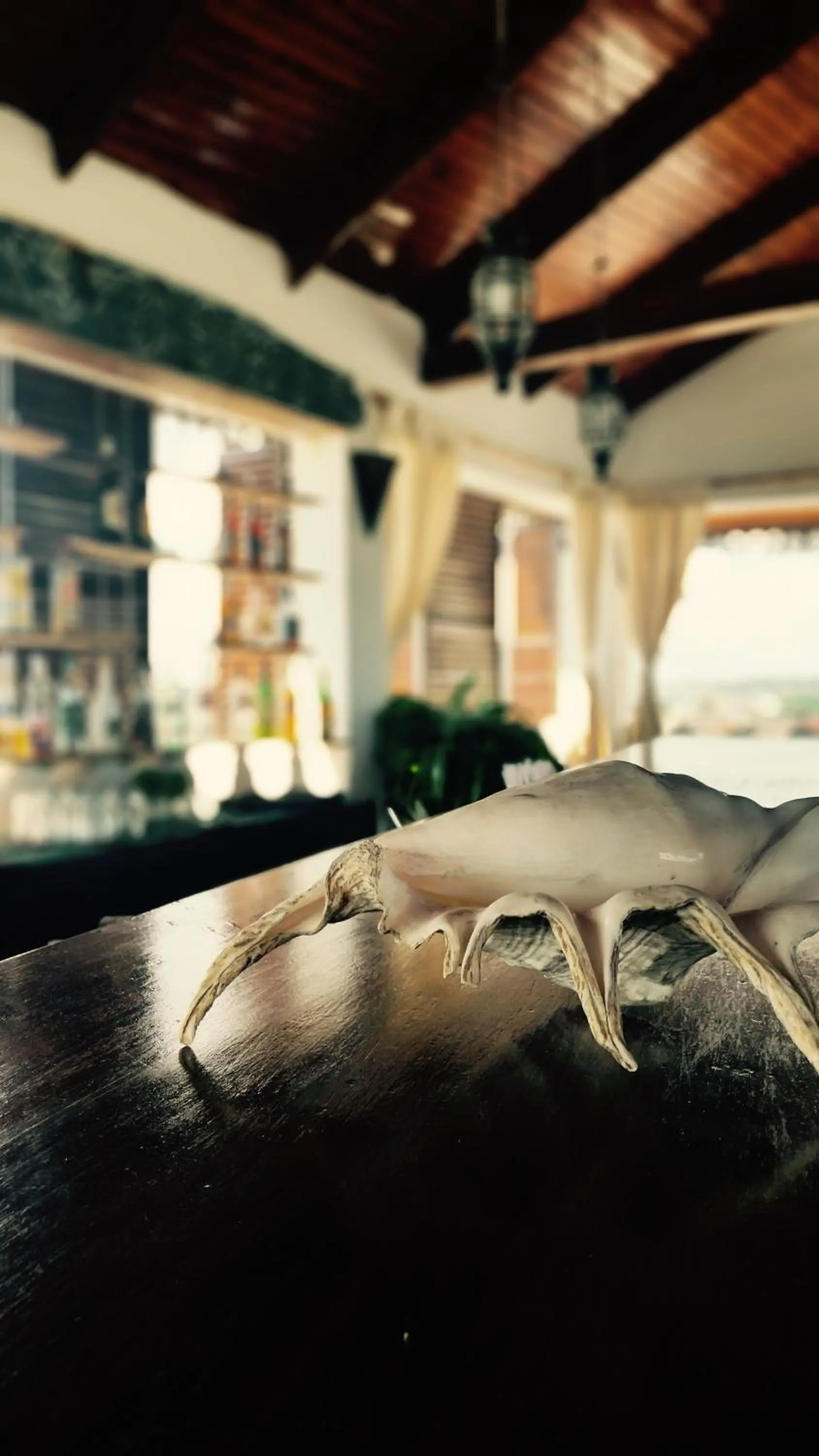 Restaurant/places to eat in The Swahili House