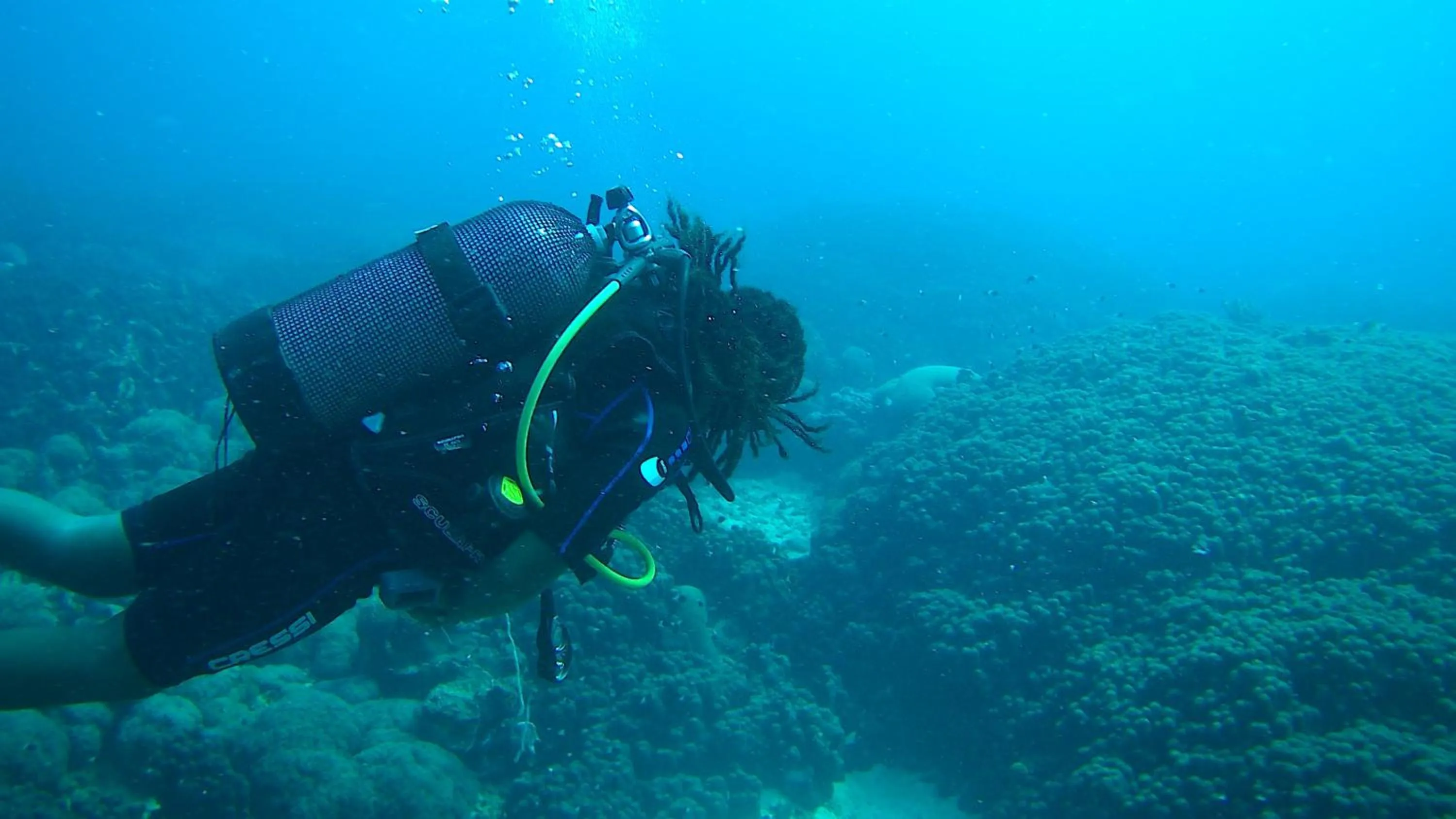 Diving in The Swahili House