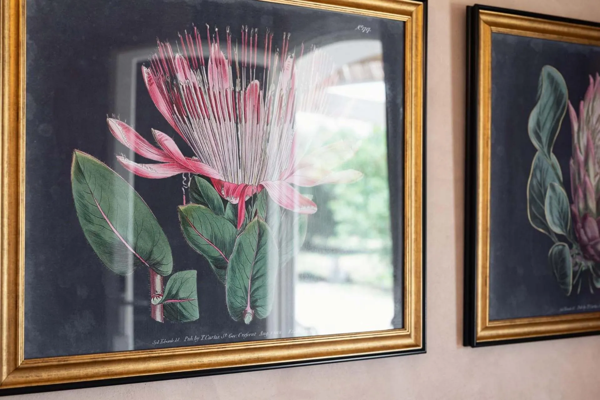 Guadalupe Tuscany Resort