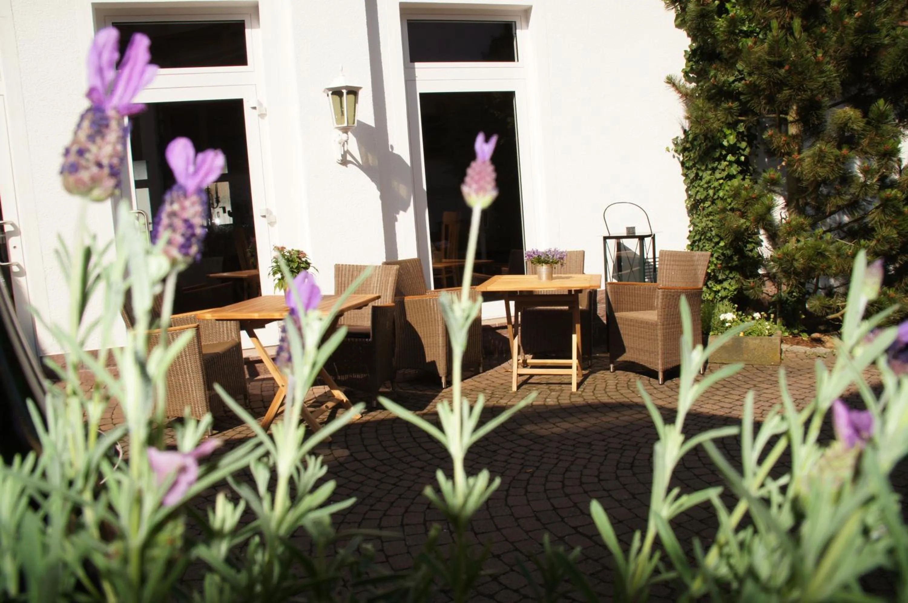 Property building in Landgasthof Druschel