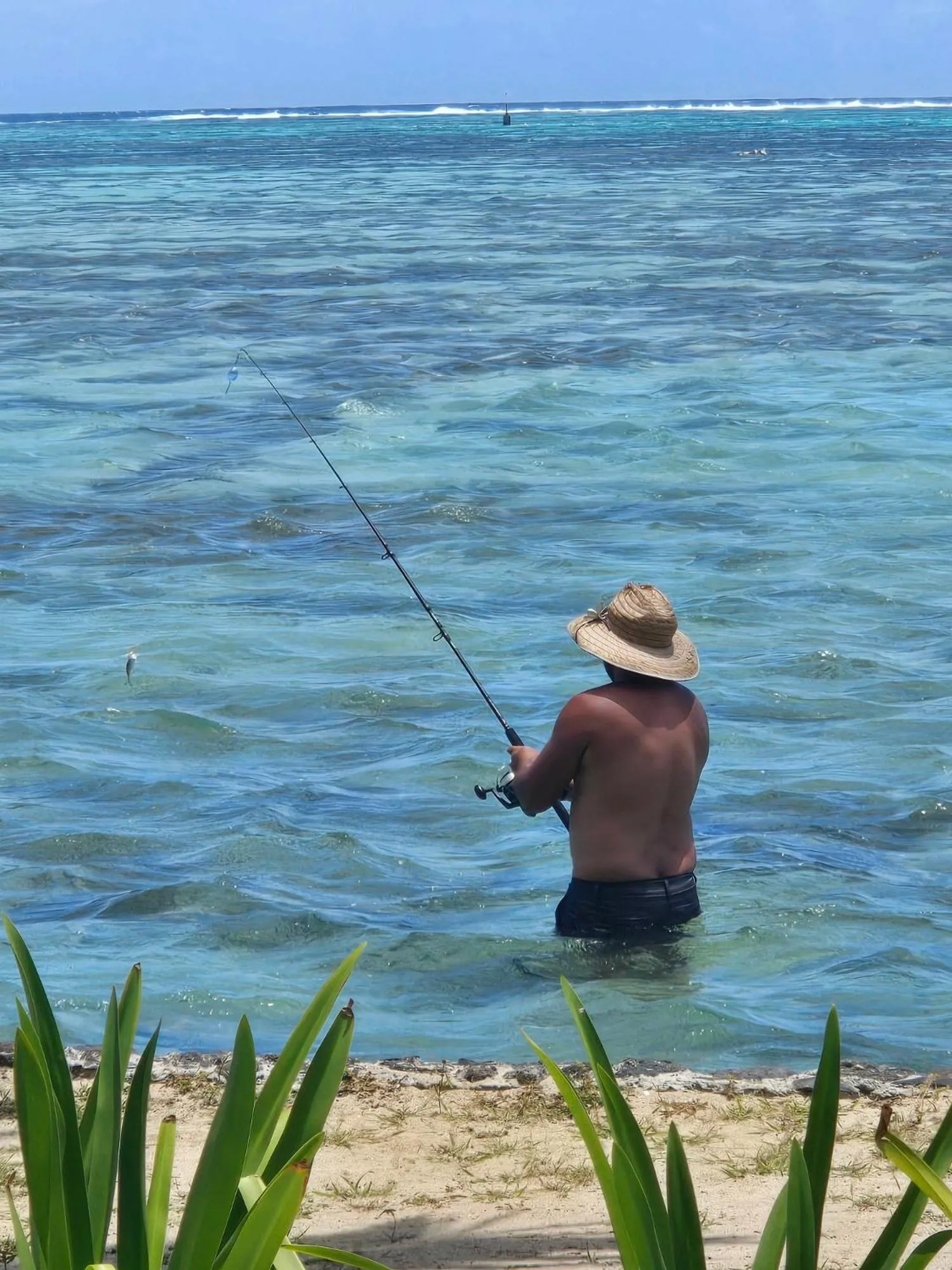 Activities in Secret Spot Lagoon Dream