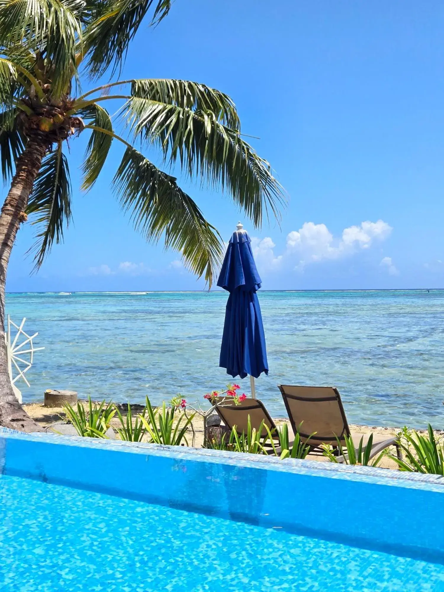 Secret Spot Lagoon Dream Secret Spot Lagoon Dream