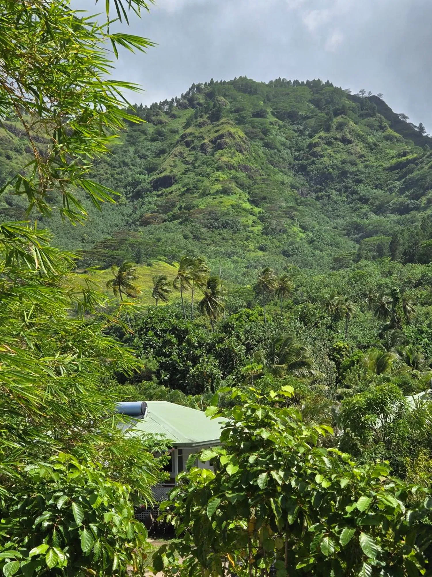 Nearby landmark in Secret Spot Lagoon Dream