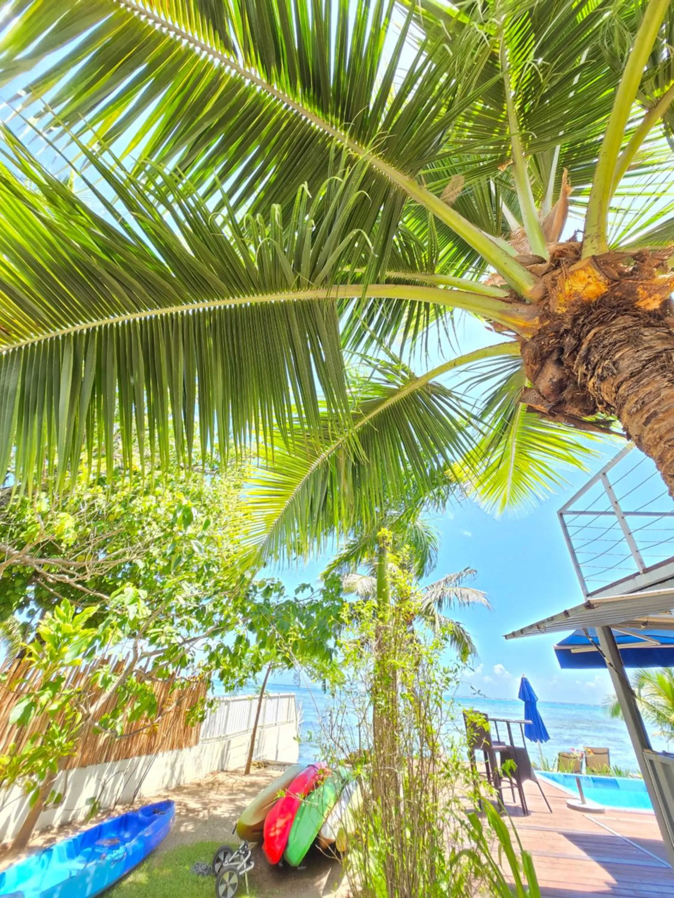 Garden in Secret Spot Lagoon Dream