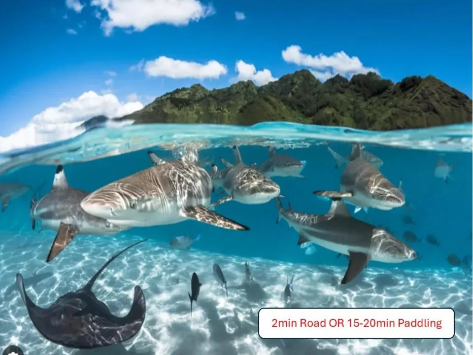 Nearby landmark in Secret Spot Lagoon Dream