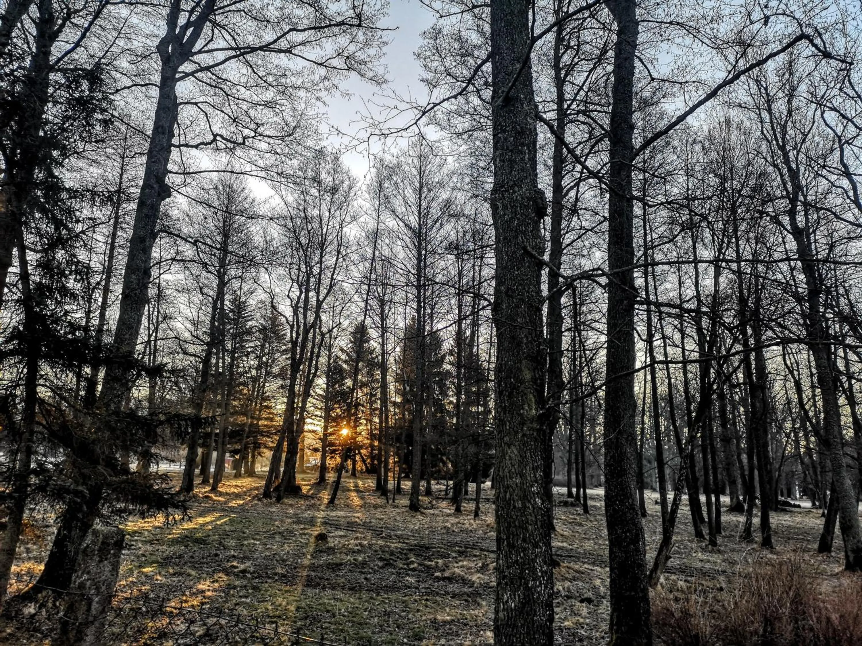 Natural landscape in Apartmány Červený Dvůr