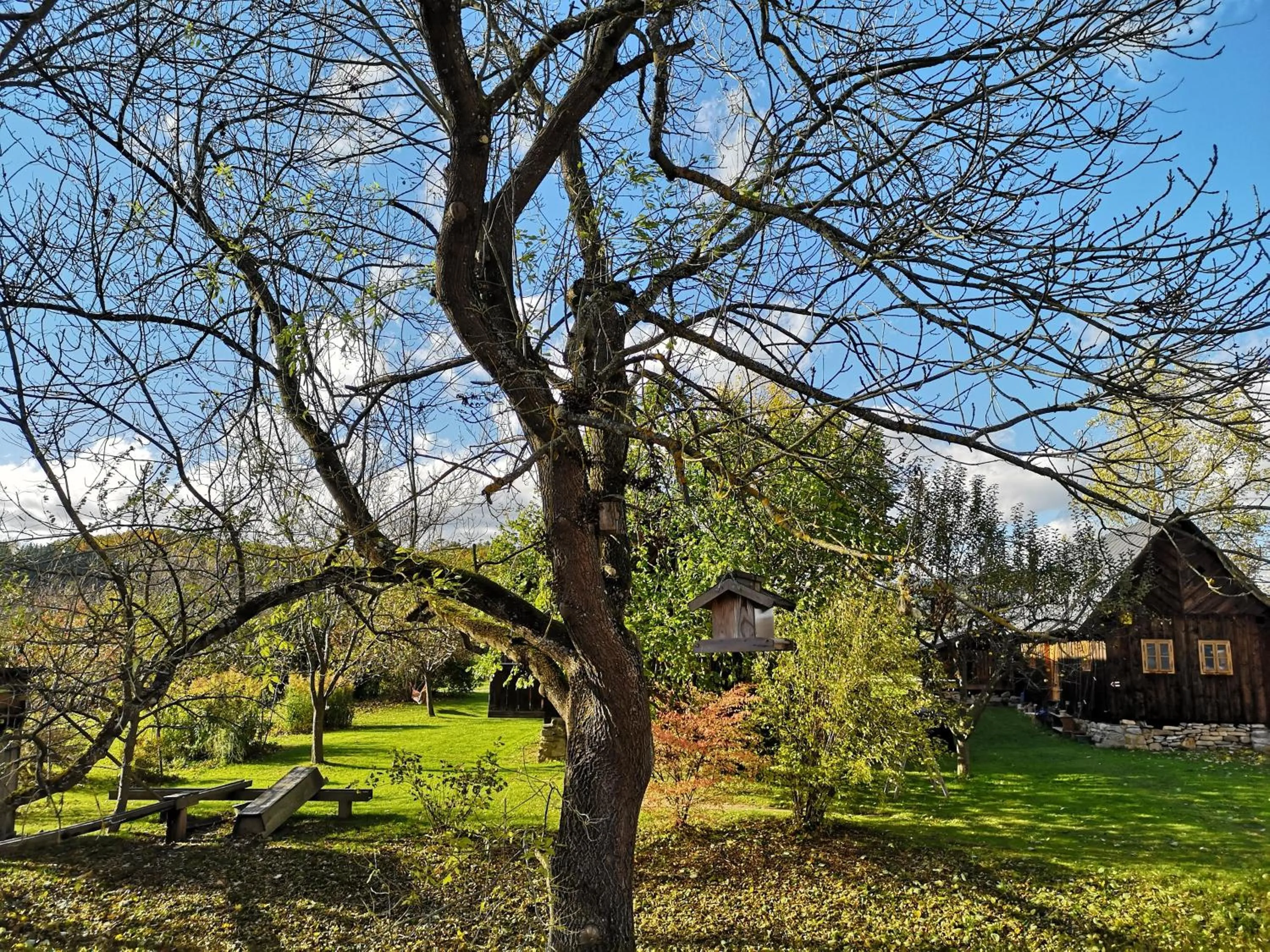 Garden in Apartmány Červený Dvůr