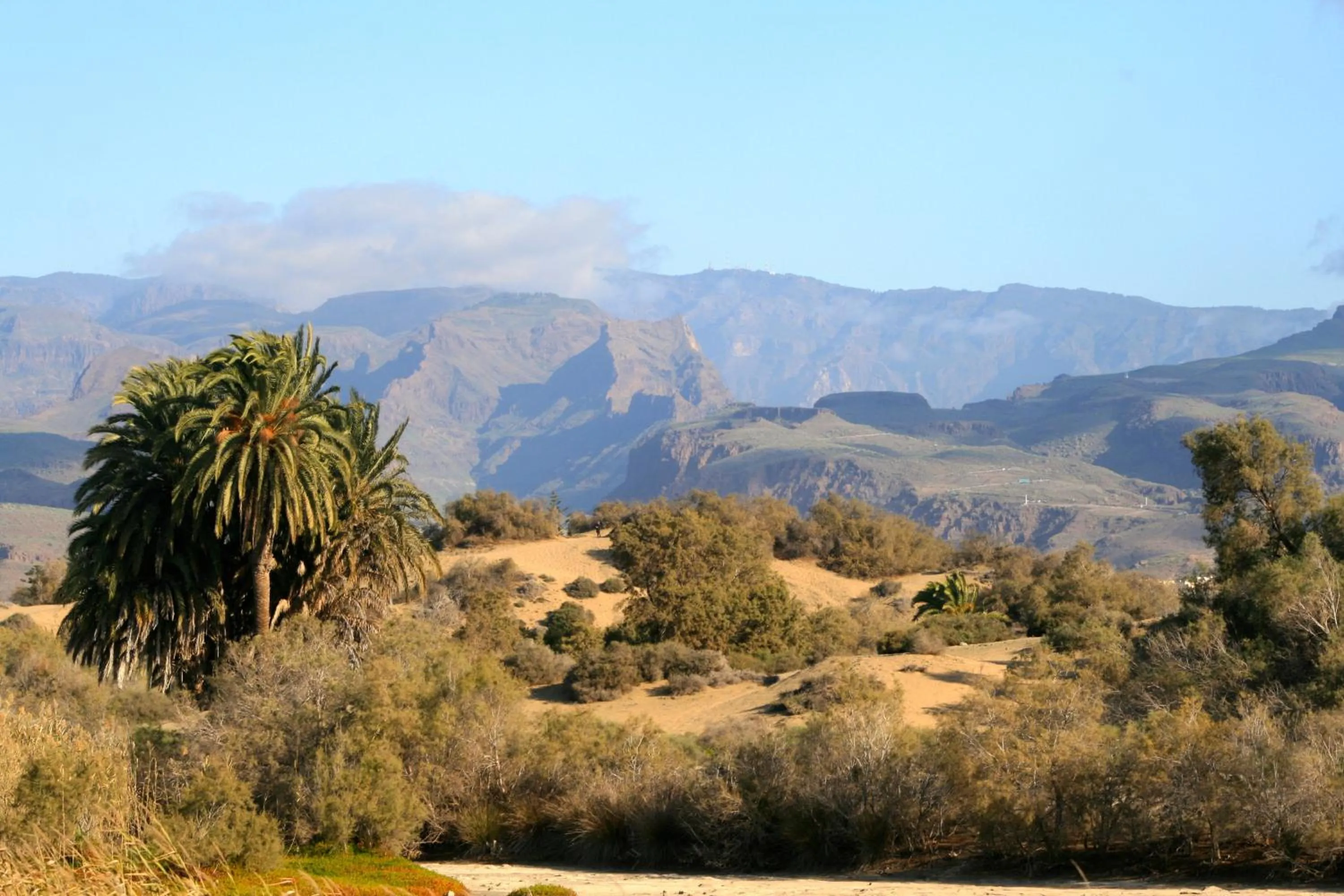 Area and facilities in Apartamentos El Capricho