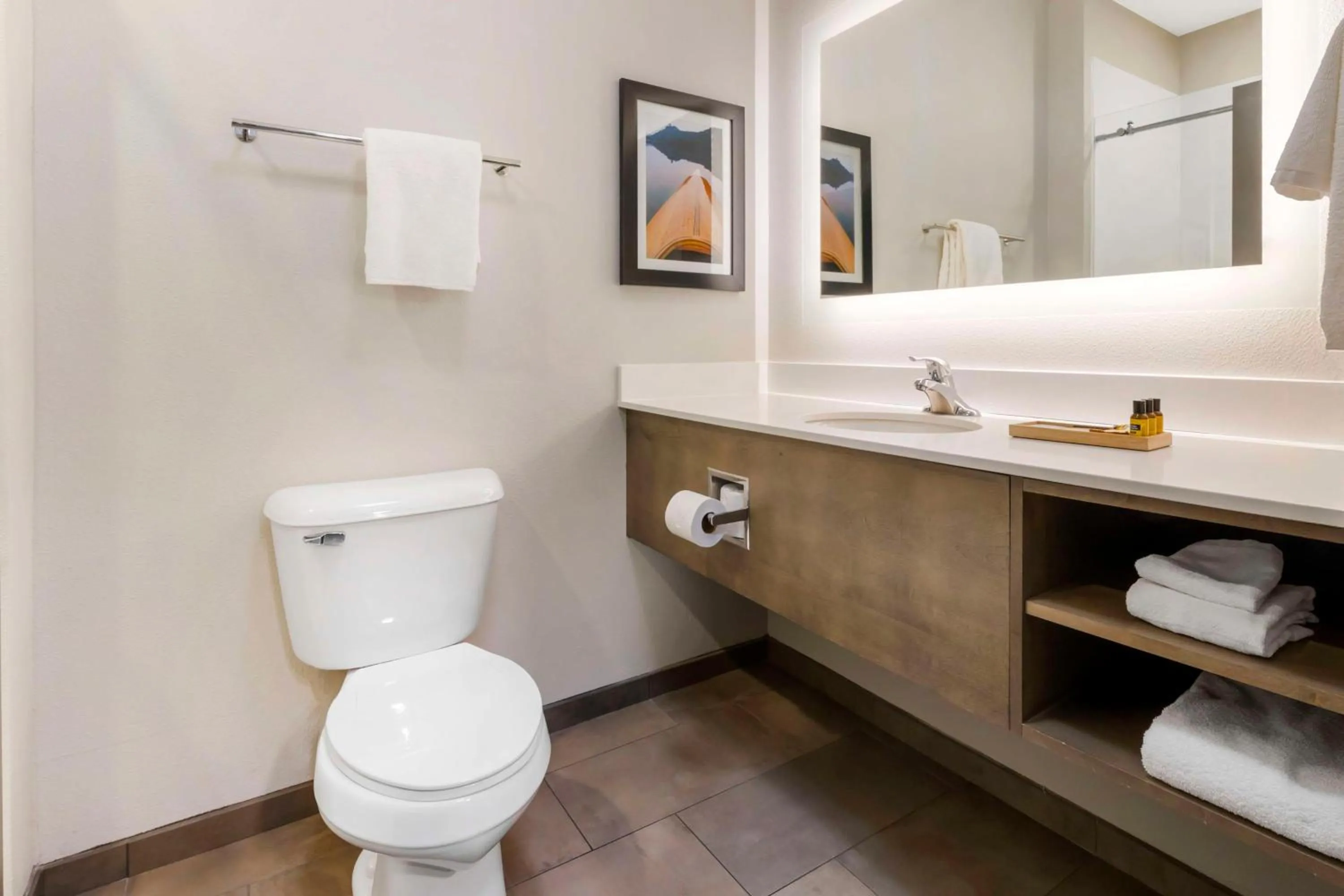 Bathroom in Best Western Plus LaCrescent - LaCrosse