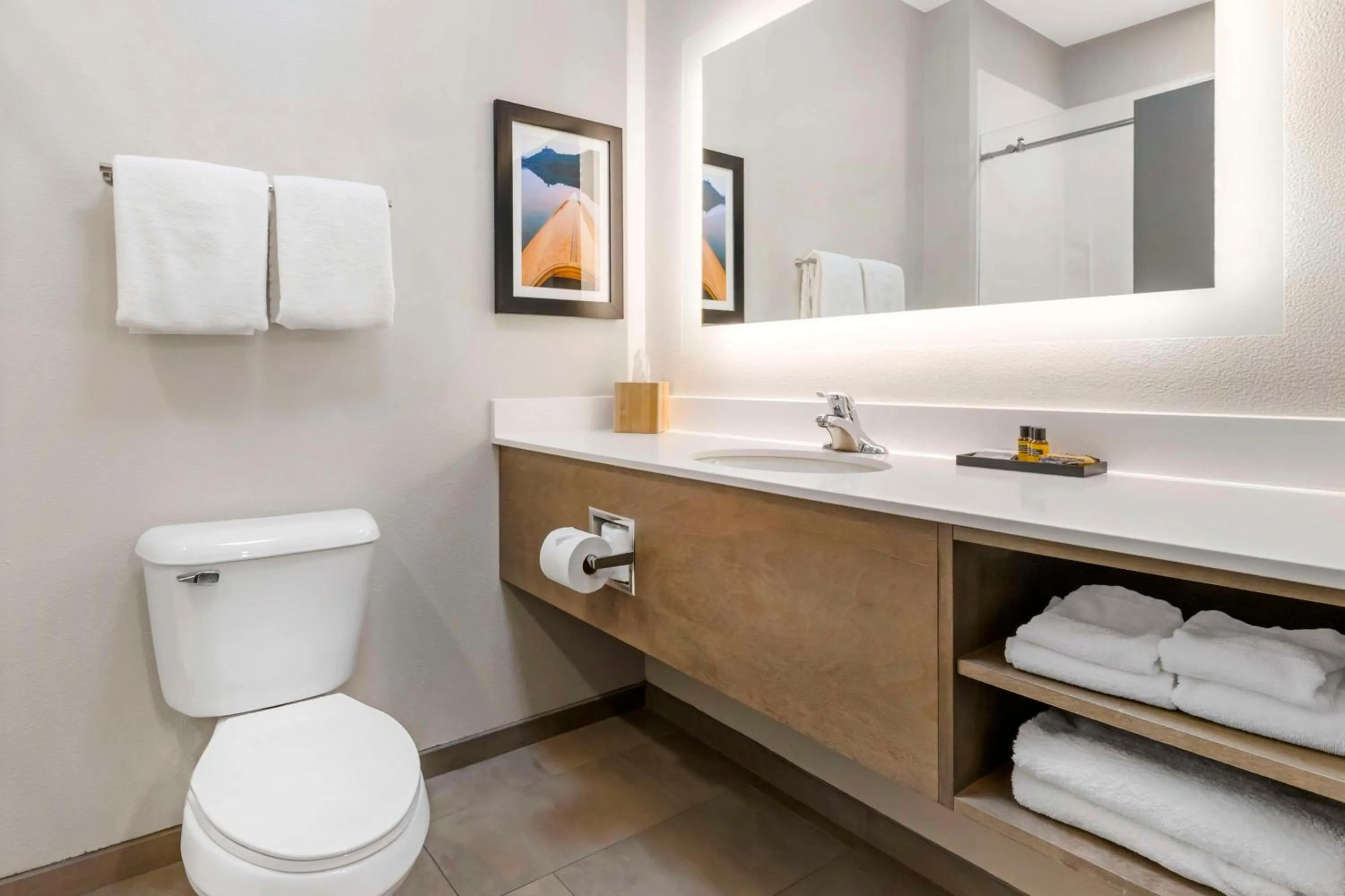 Bathroom in Best Western Plus LaCrescent - LaCrosse