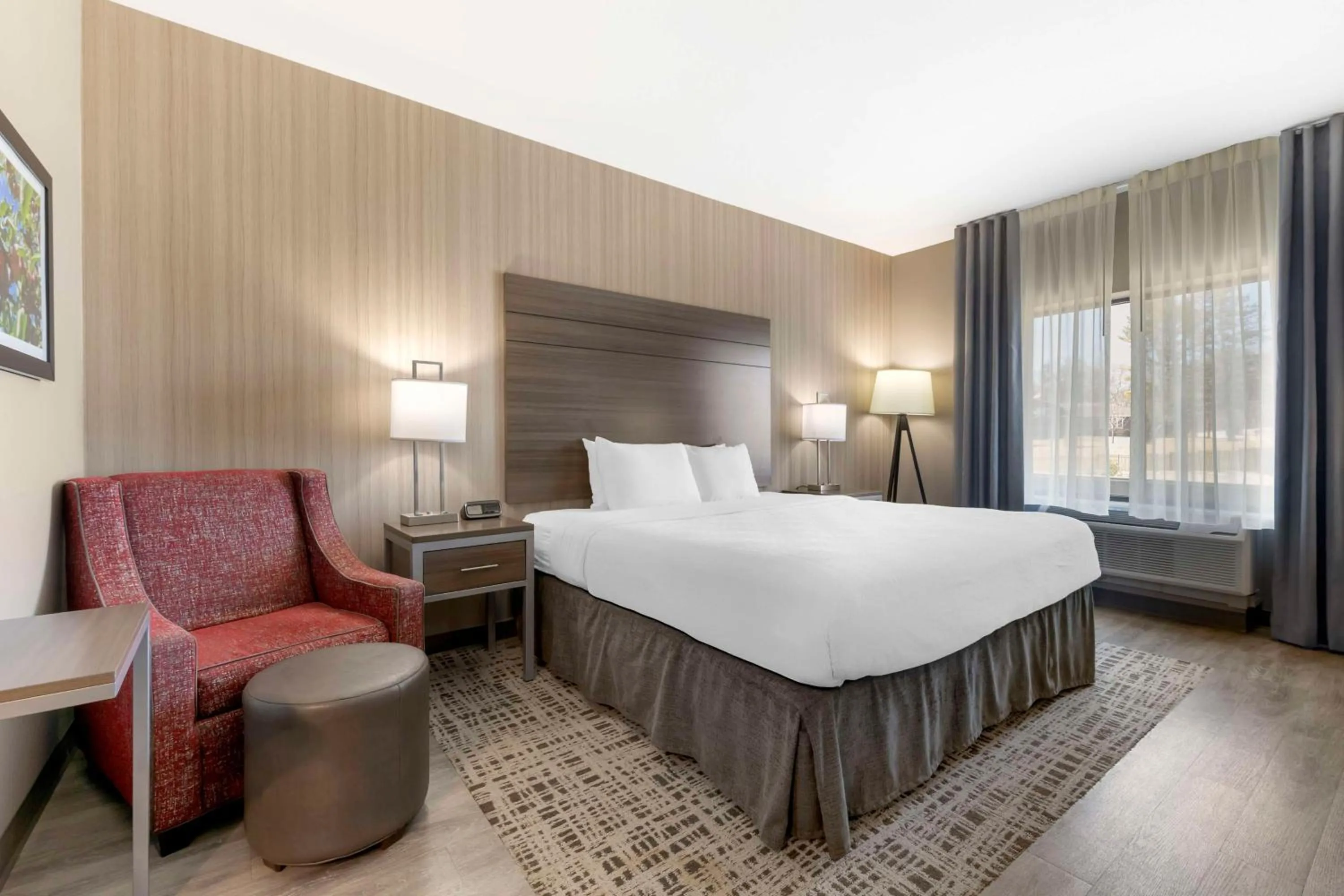 Bedroom, Bed in Best Western Plus LaCrescent - LaCrosse