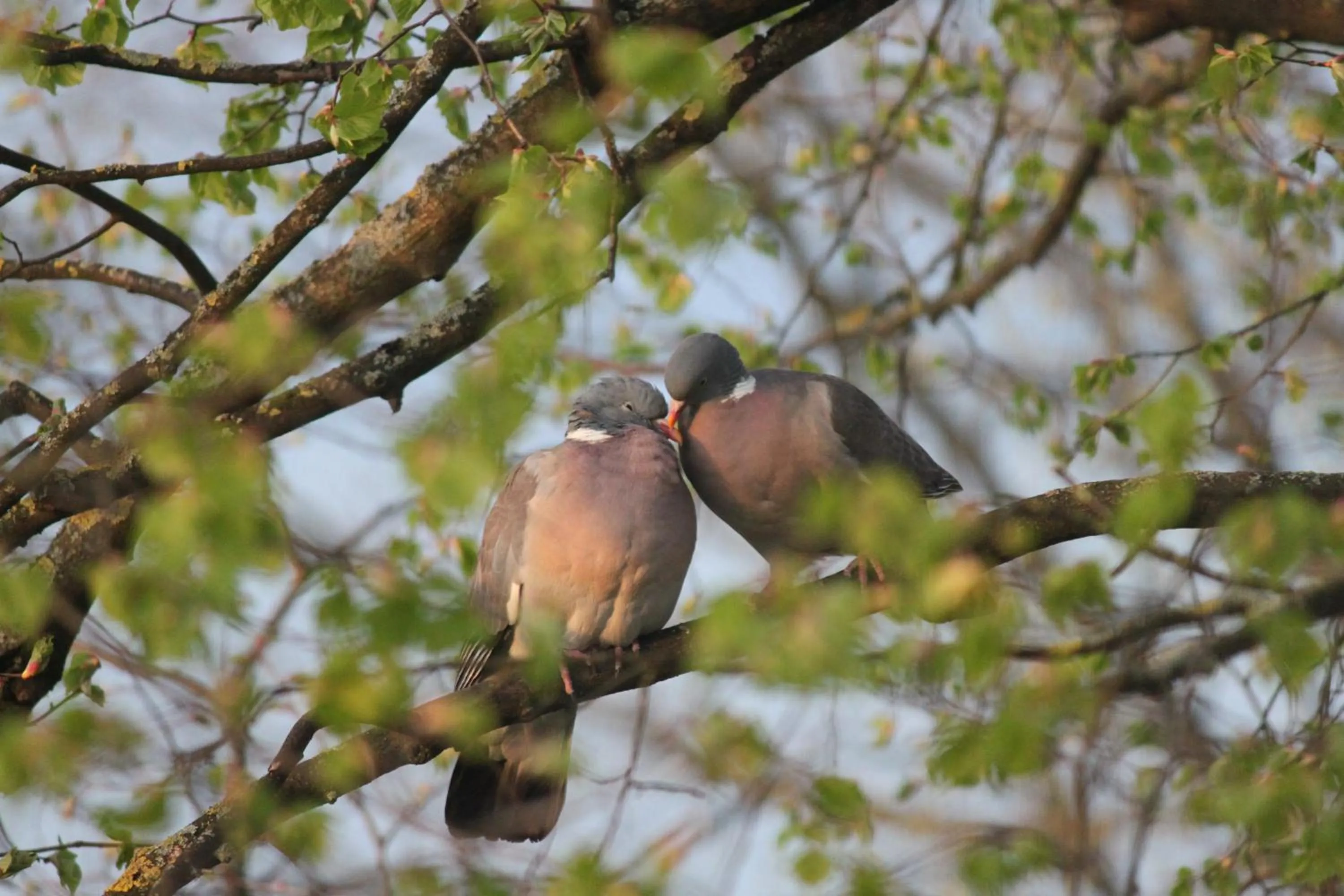 On site in Hotel An der Linde