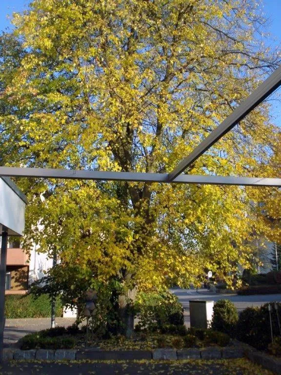 Natural landscape in Hotel An der Linde