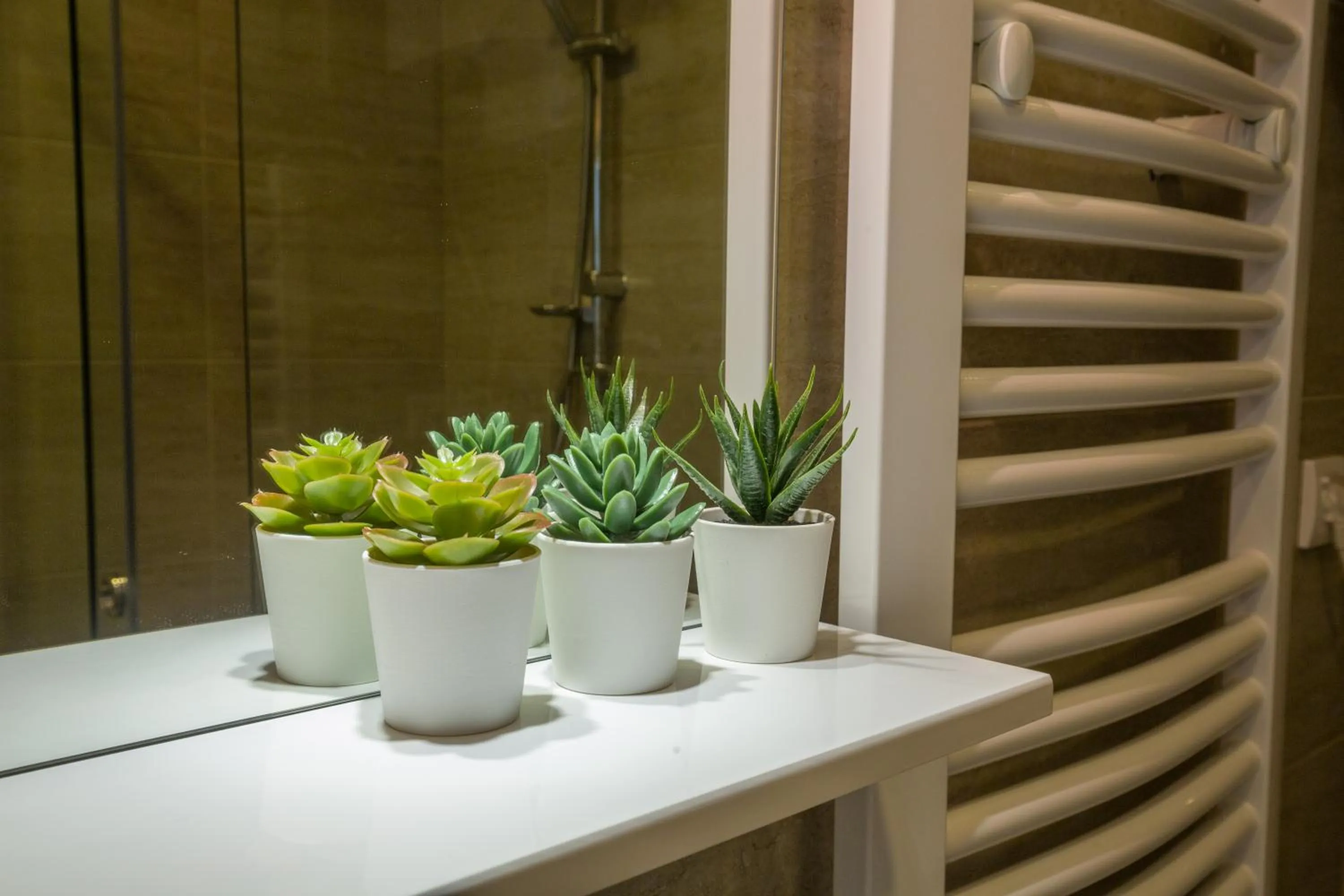 Bathroom in Thomas Residence