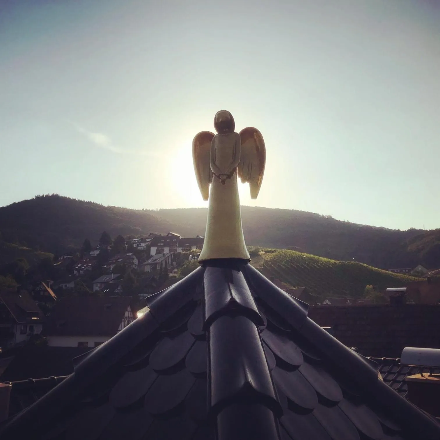 Bird's eye view in Hotel Restaurant Der Engel, Sasbachwalden