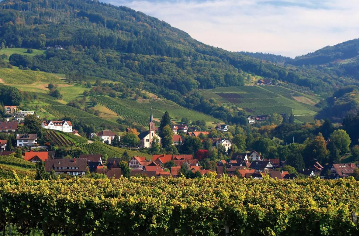 Natural landscape in Hotel Restaurant Der Engel, Sasbachwalden