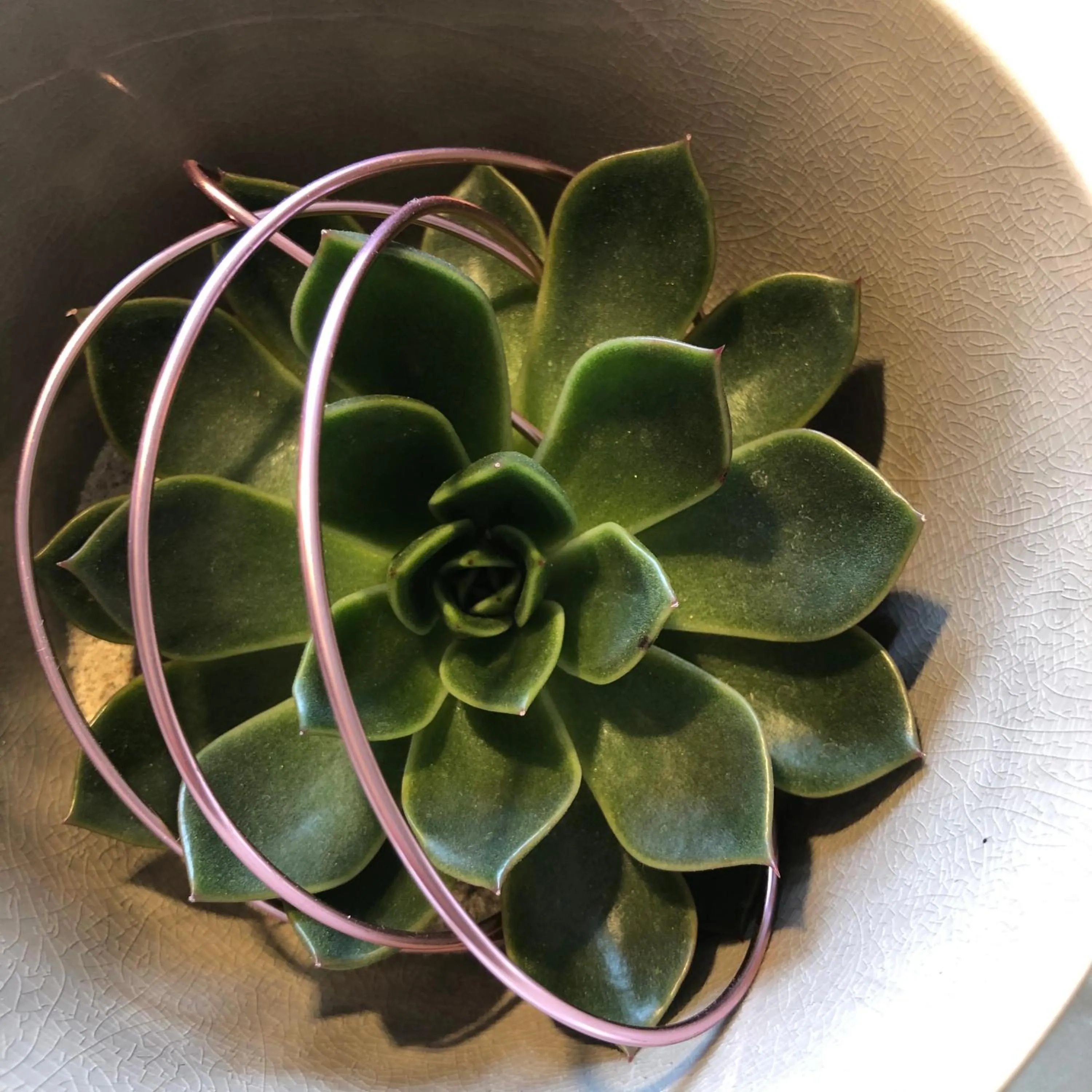 Decorative detail in Hotel Restaurant Der Engel, Sasbachwalden