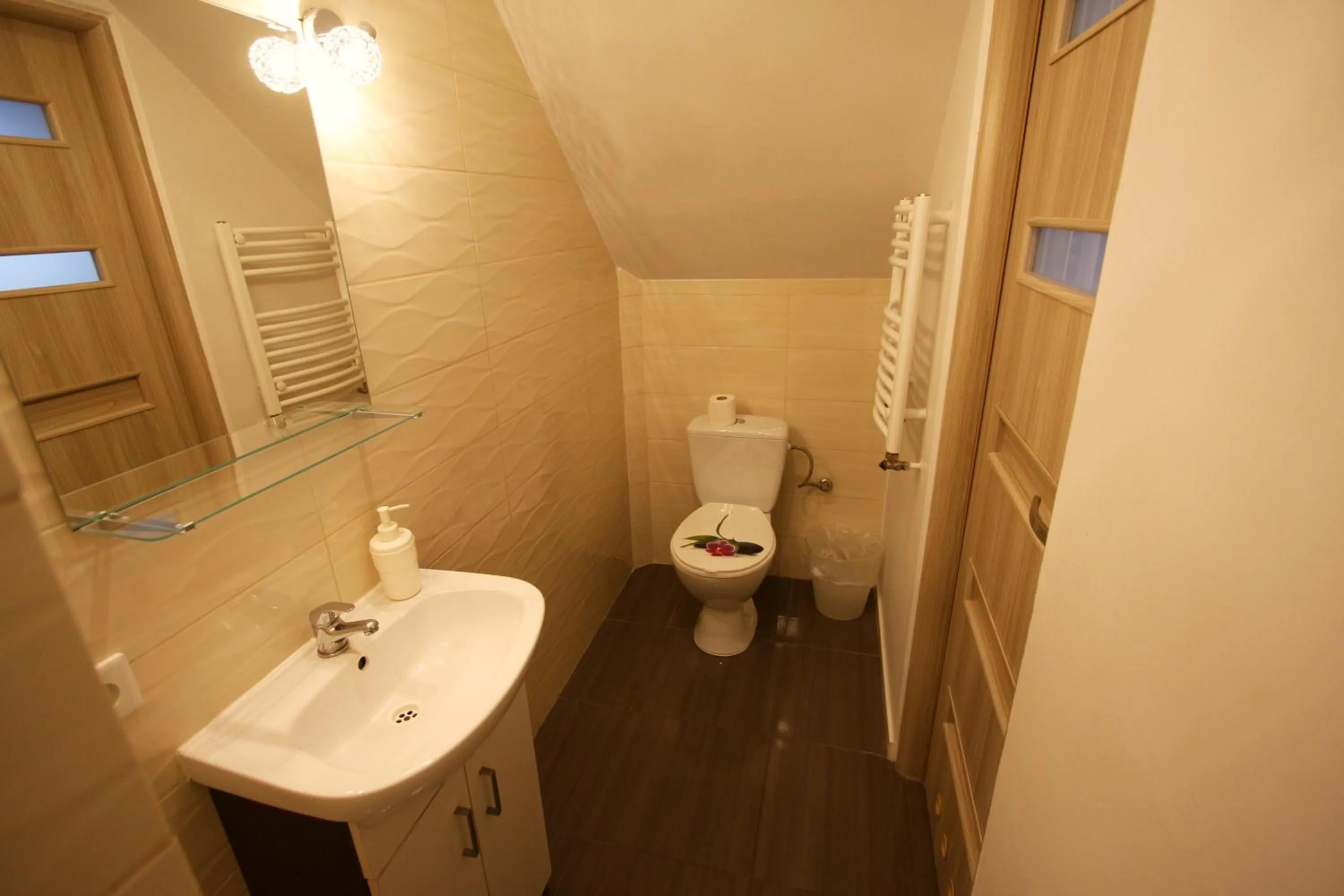 Shower in Pokoje Nadrzeczna 45